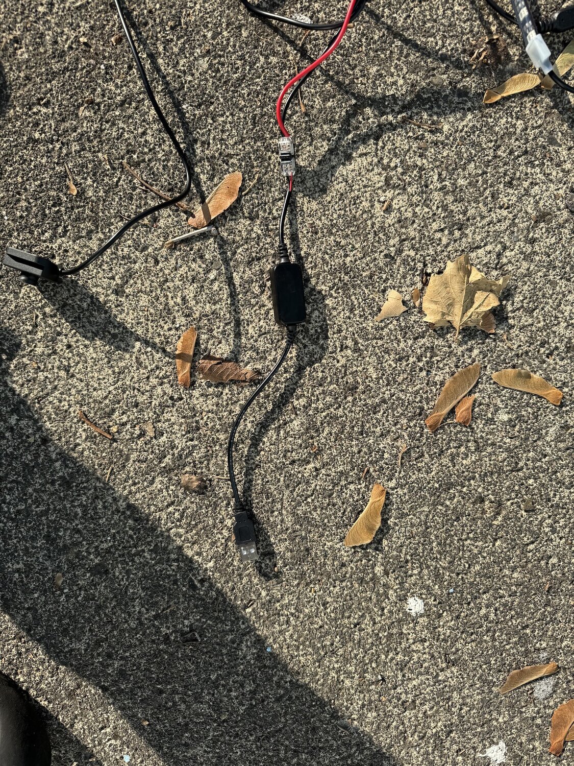 IMG_0153.jpeg IMG_0153.jpeg