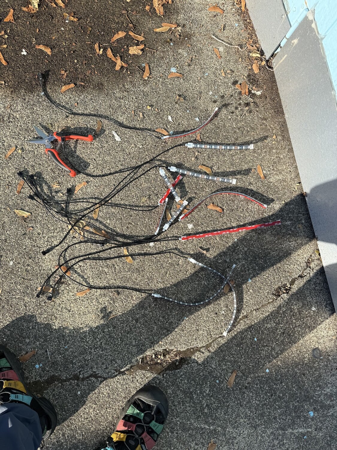 IMG_0154.jpeg IMG_0154.jpeg