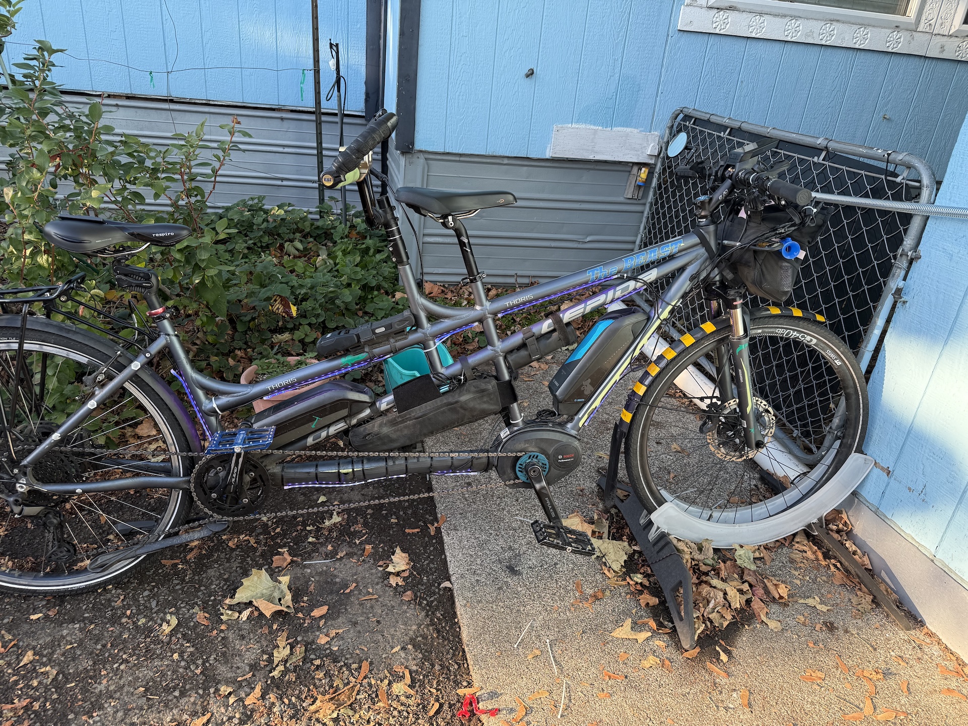 IMG_0156.jpeg IMG_0156.jpeg