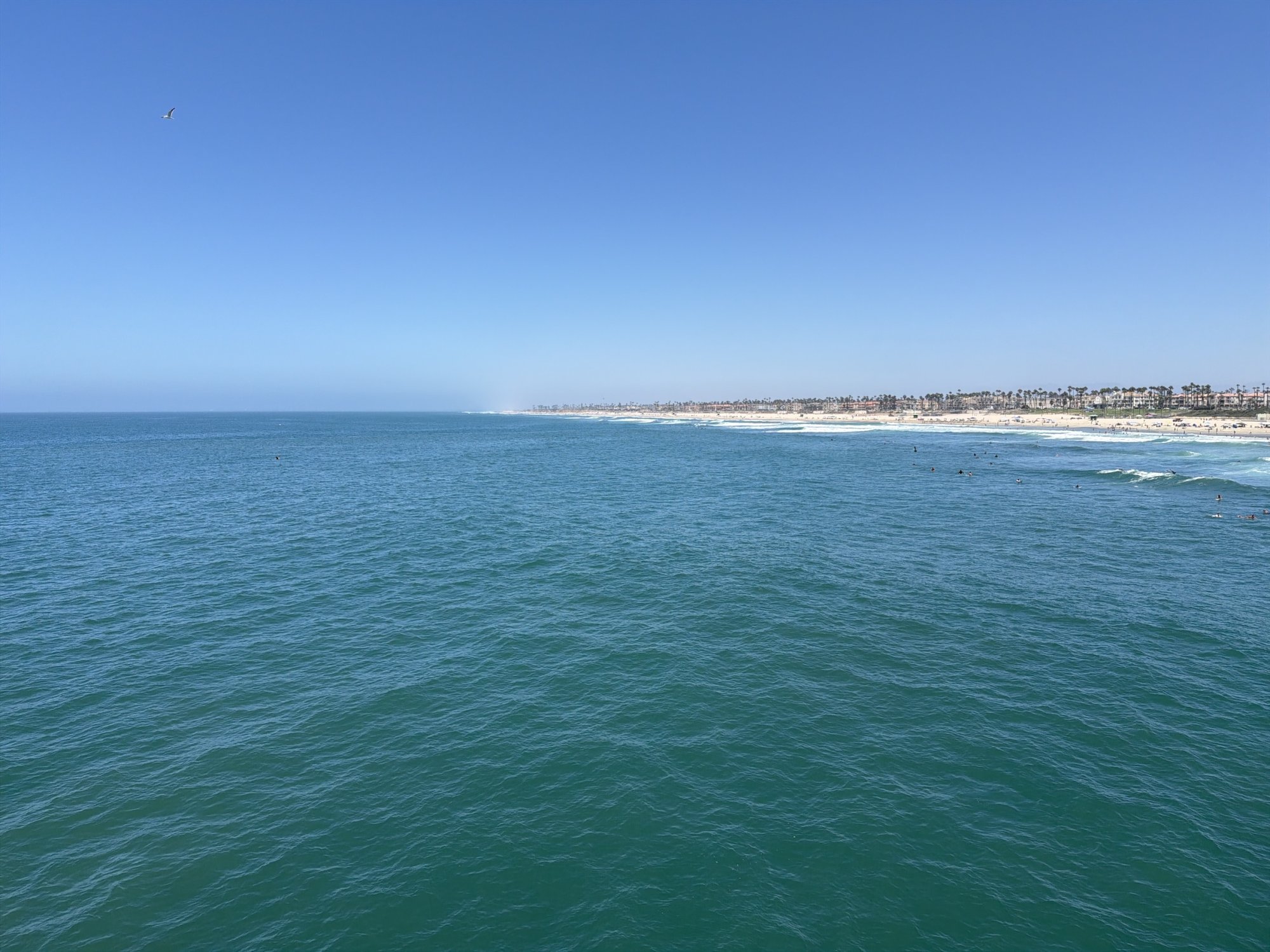 IMG_0256.jpeg