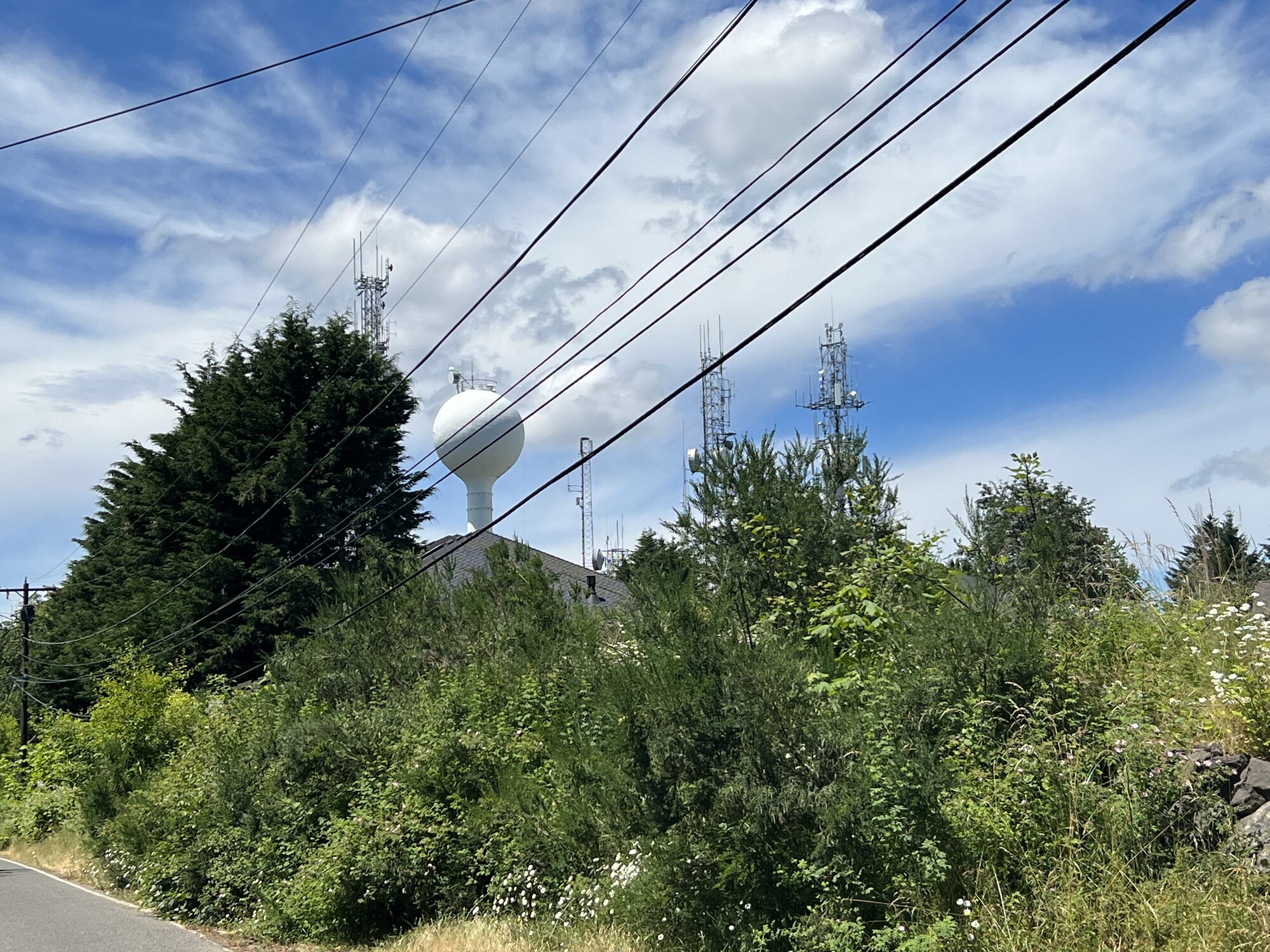 IMG_0332.jpeg