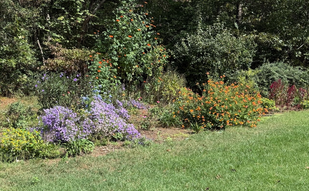 IMG_0450.jpeg