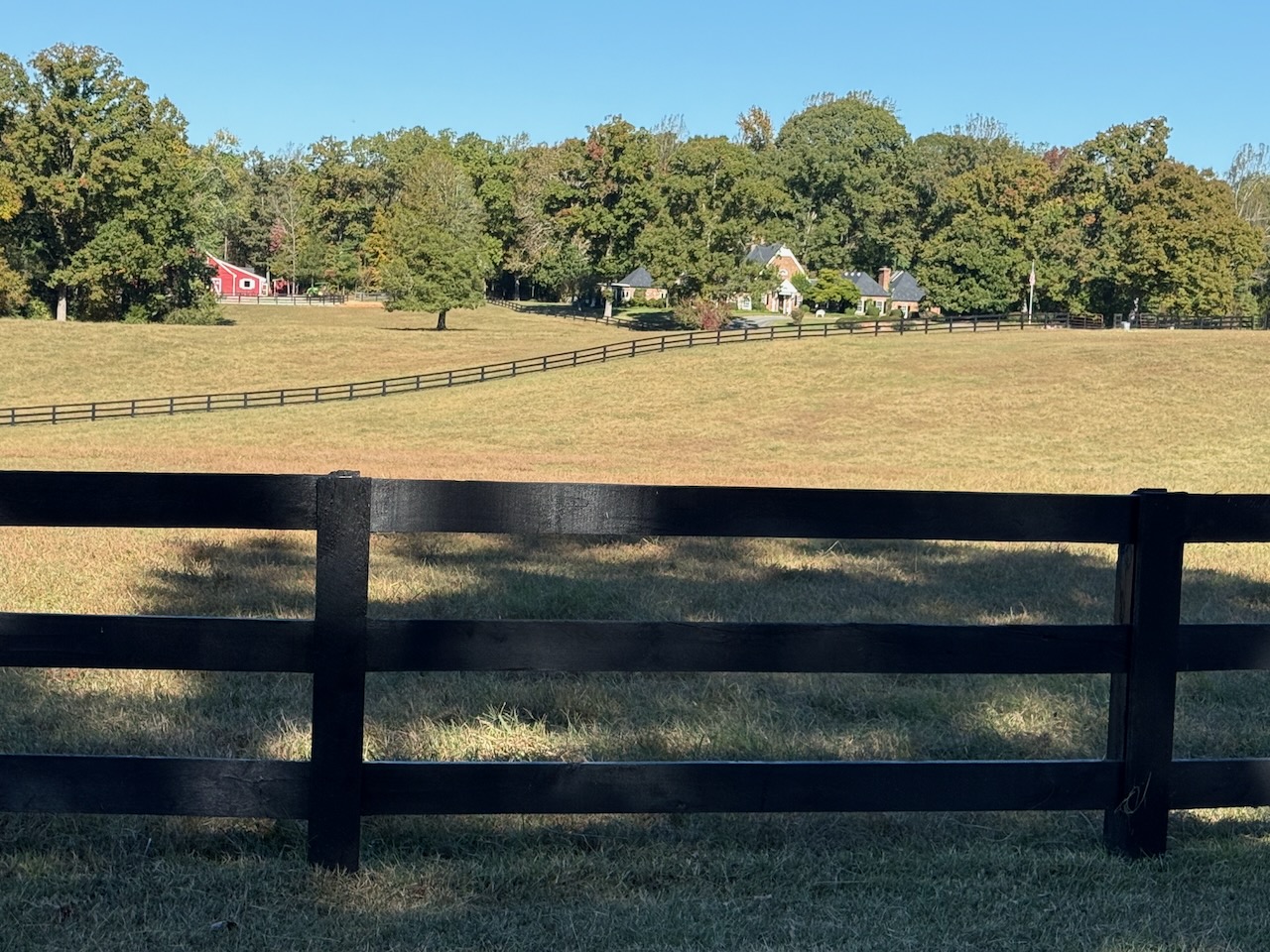 IMG_0540 (1).jpeg