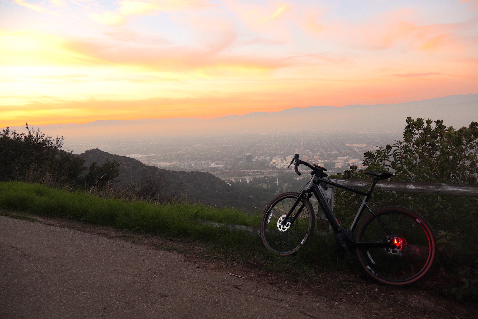 IMG_0724 Treated small.JPG