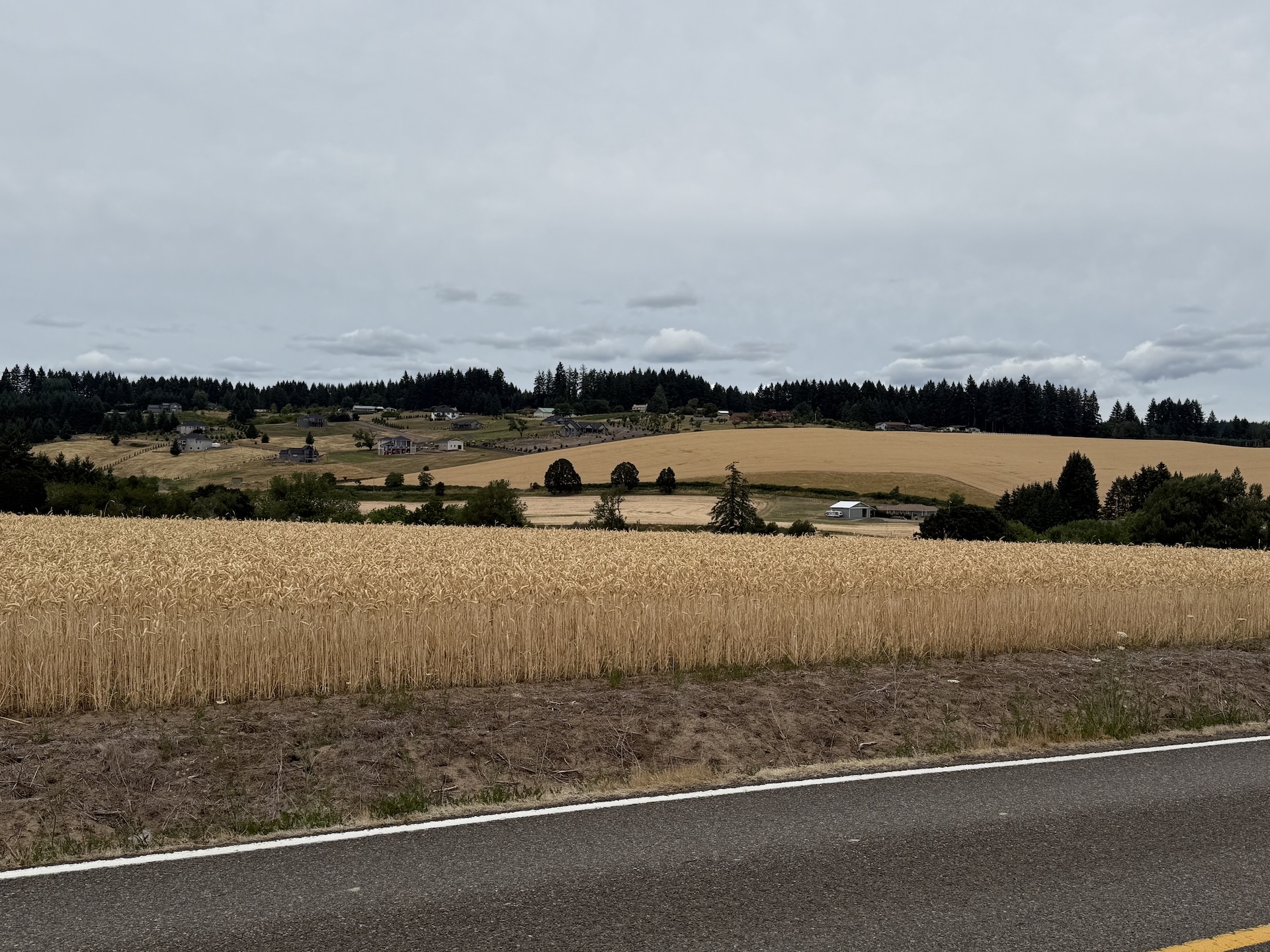 IMG_1159.jpeg