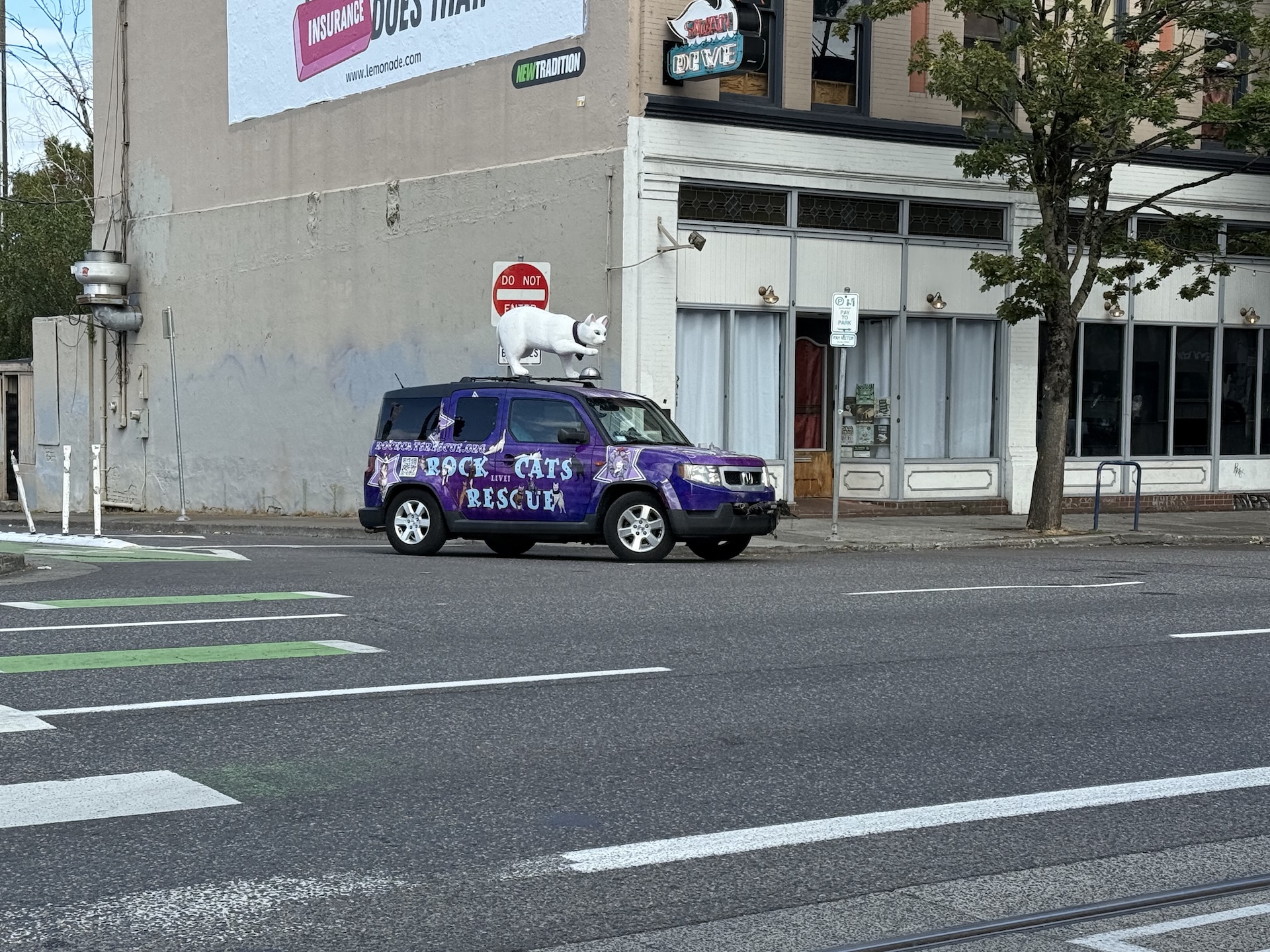 IMG_1343.jpeg