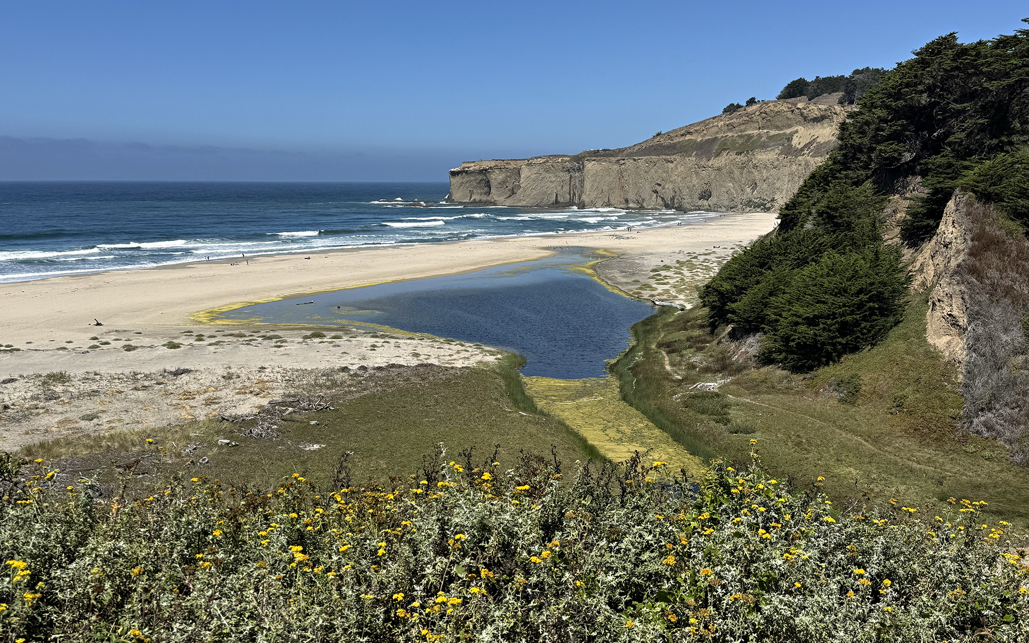 IMG_1344 copy 2.jpg