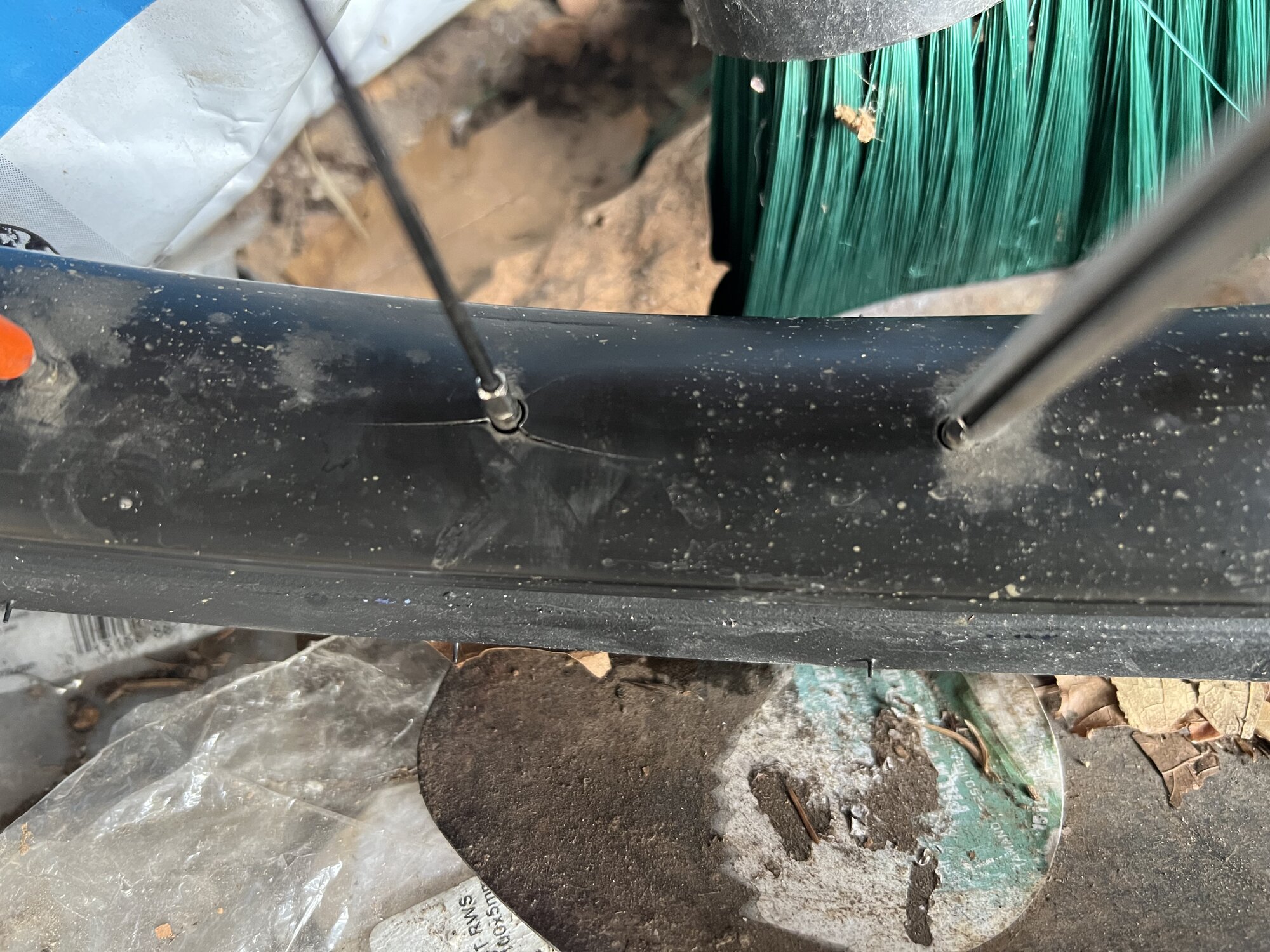 IMG_1686.jpeg IMG_1686.jpeg