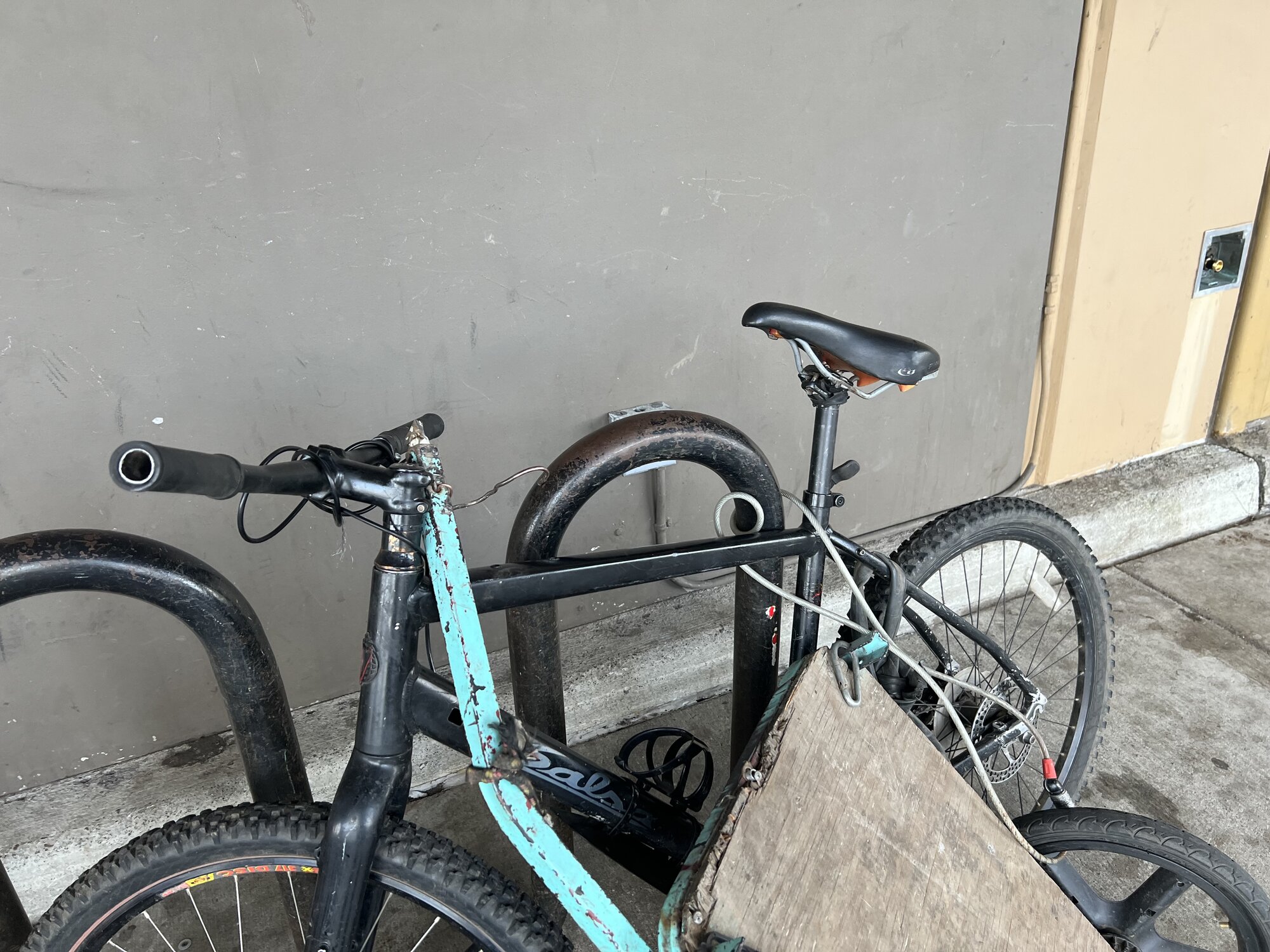 IMG_1724.jpeg
