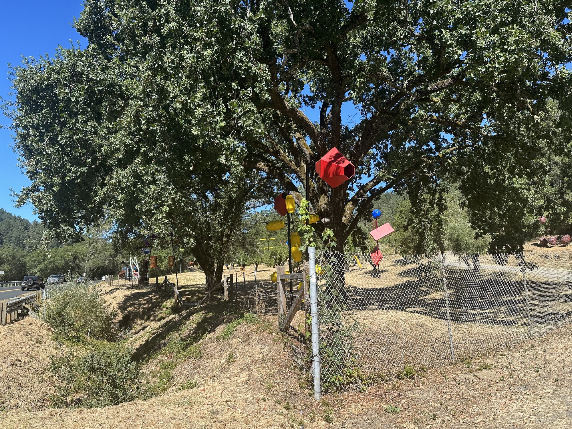 IMG_1851.jpeg