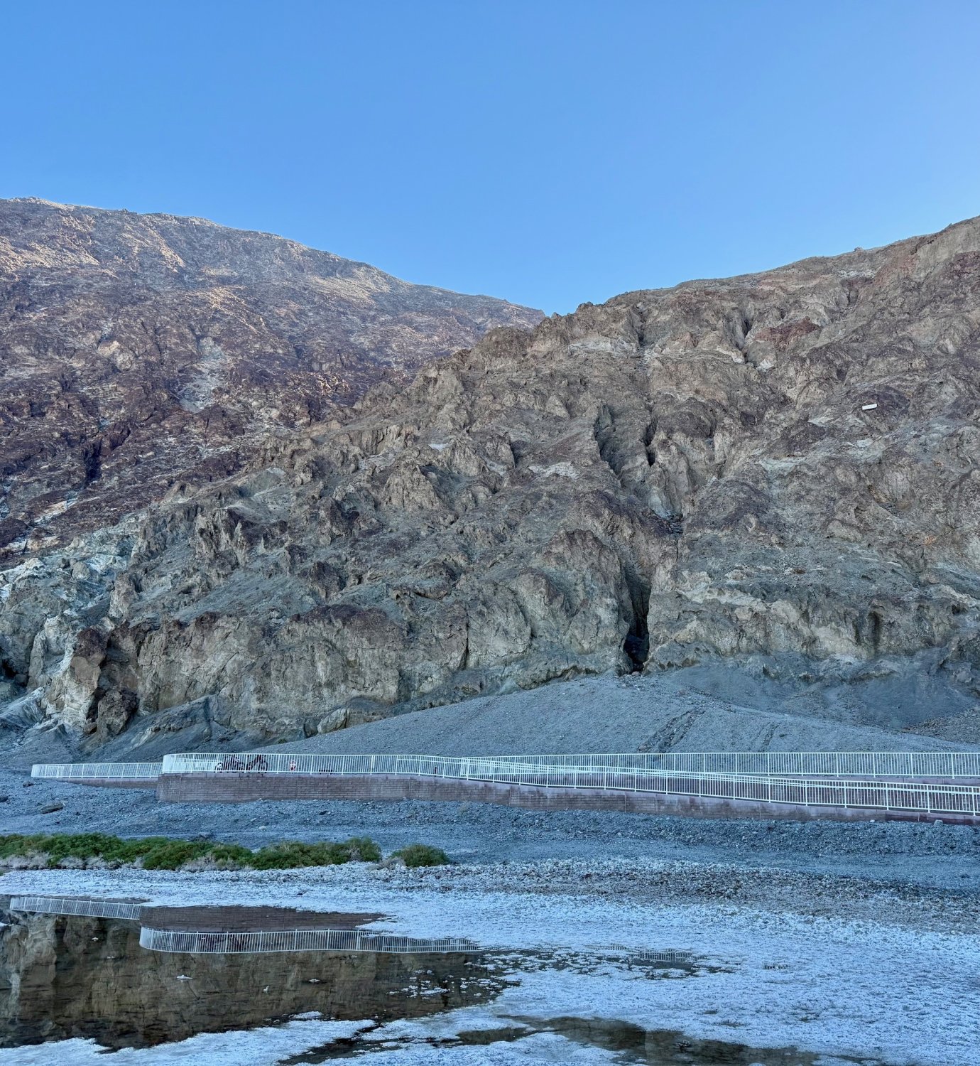 IMG_1867.jpeg IMG_1867.jpeg