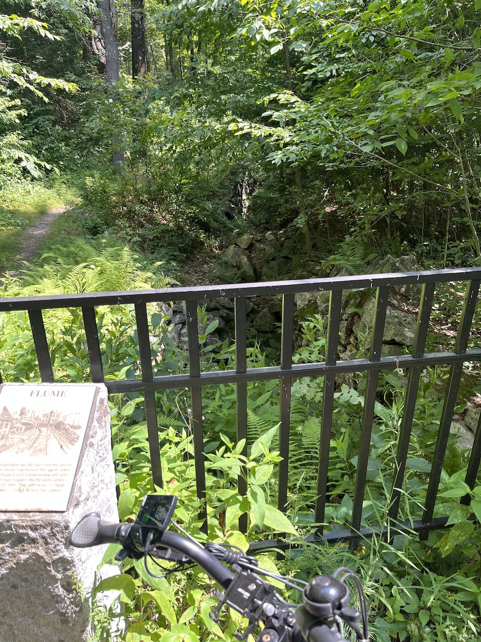 IMG_1904 (1).jpeg