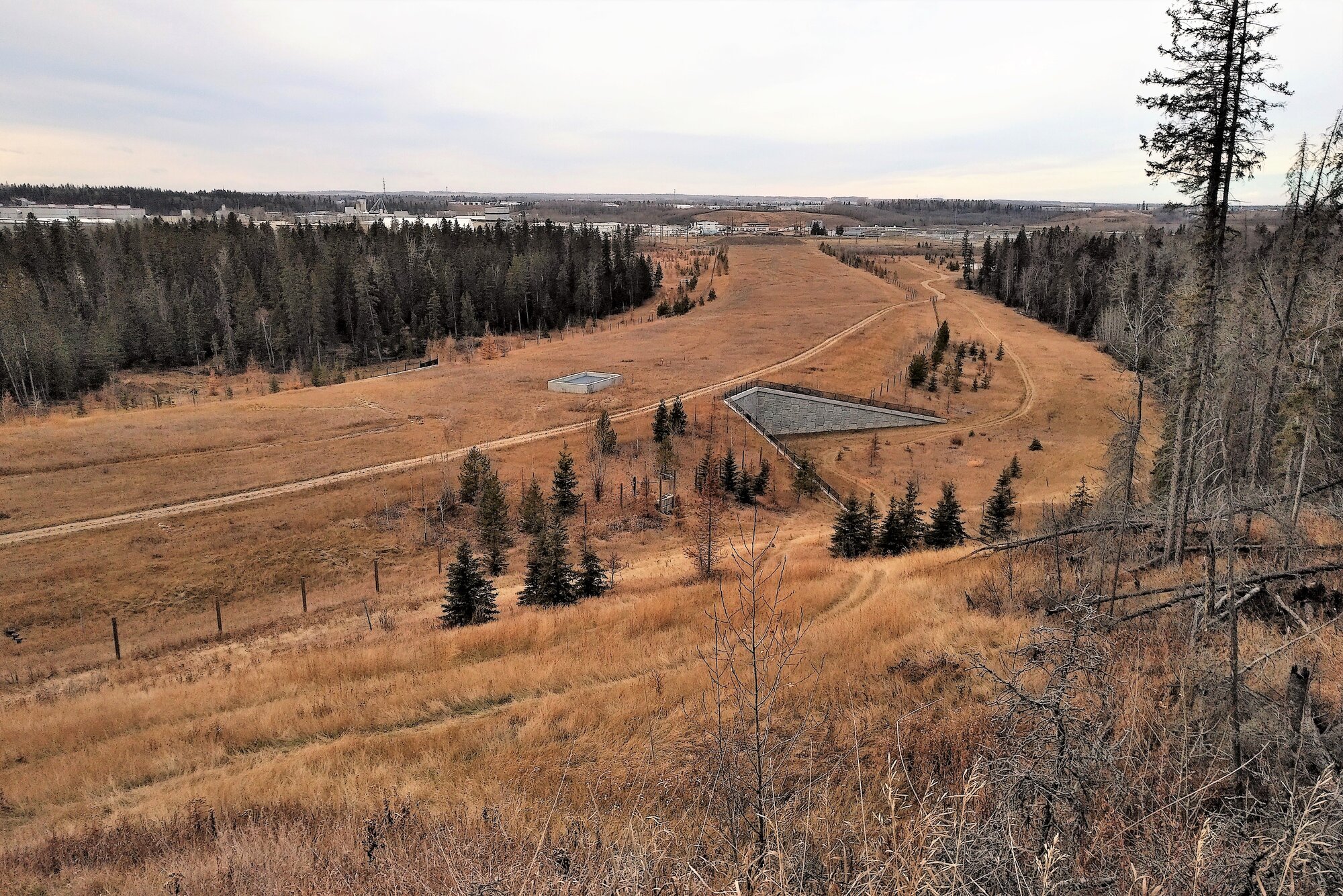 IMG_20211112_1352568 (2).jpg