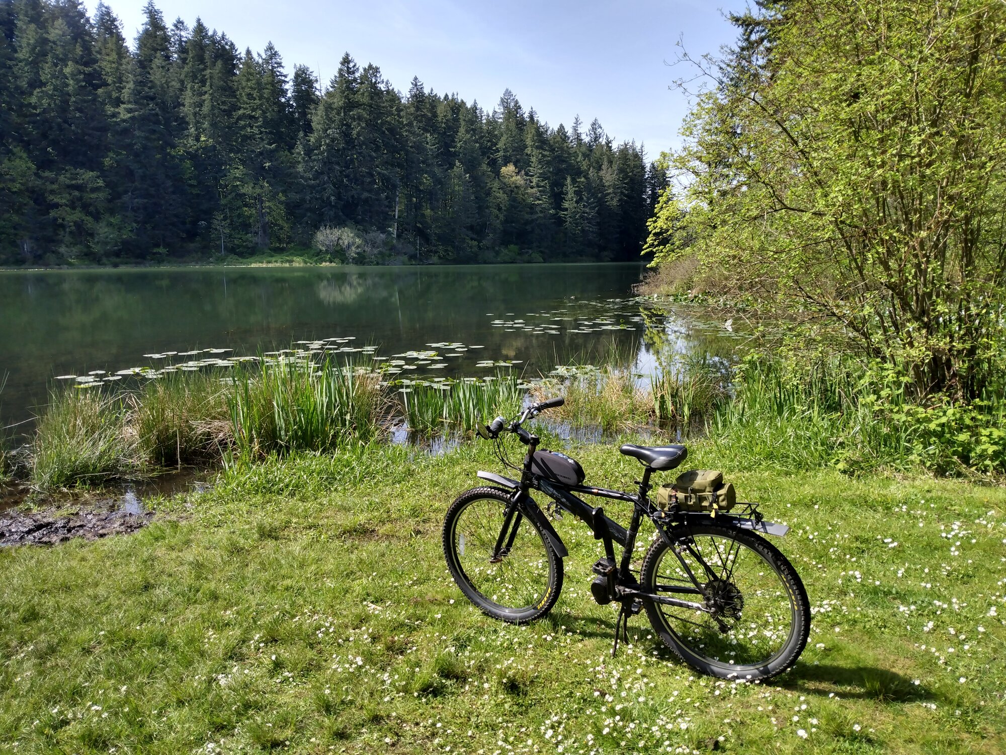 IMG_20220501_153558785_HDR.jpg