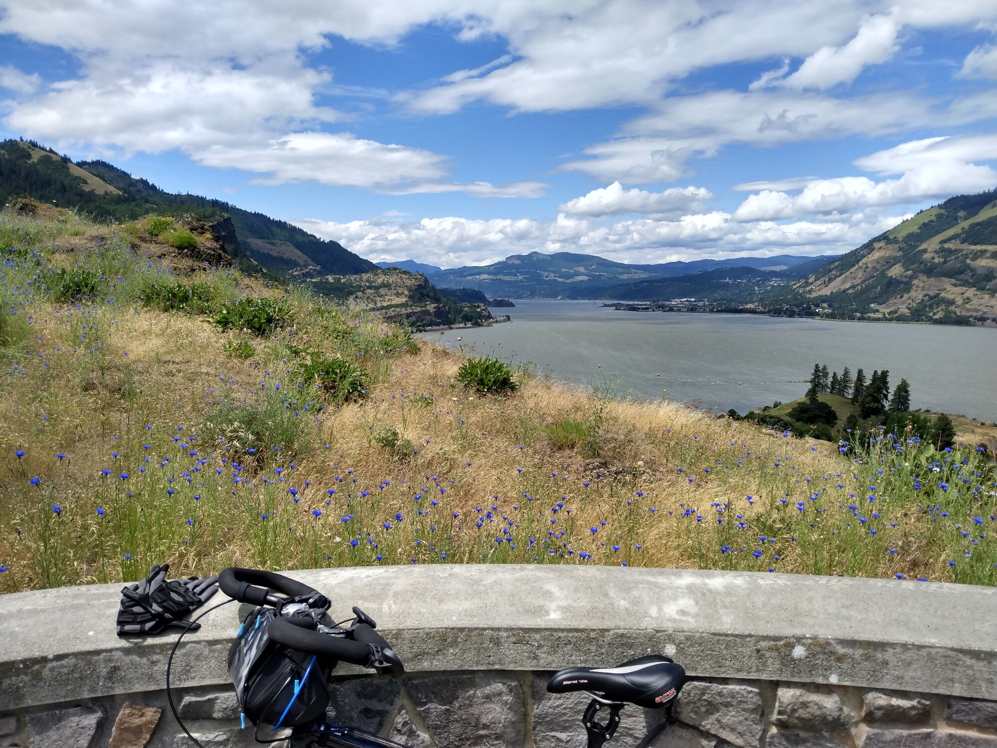 IMG_20220616_131440470_HDR.jpg