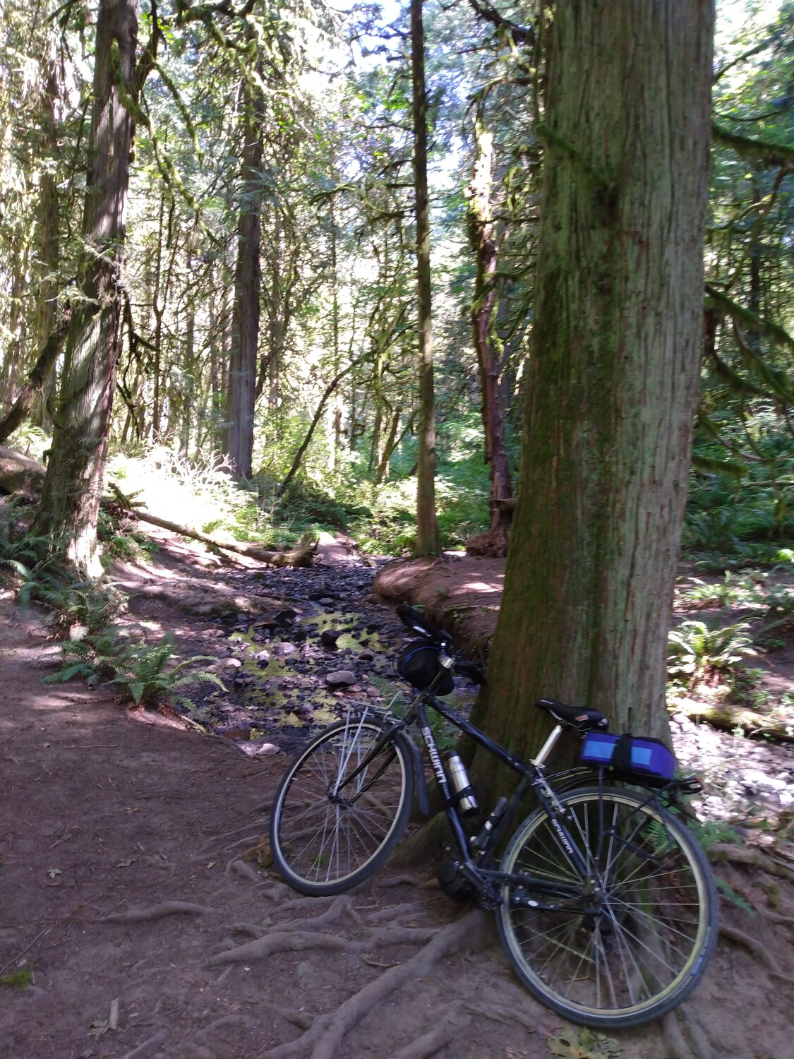 IMG_20220901_123813734.jpg