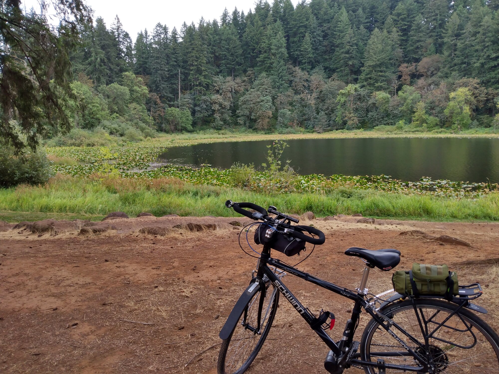 IMG_20220914_134230387_HDR.jpg