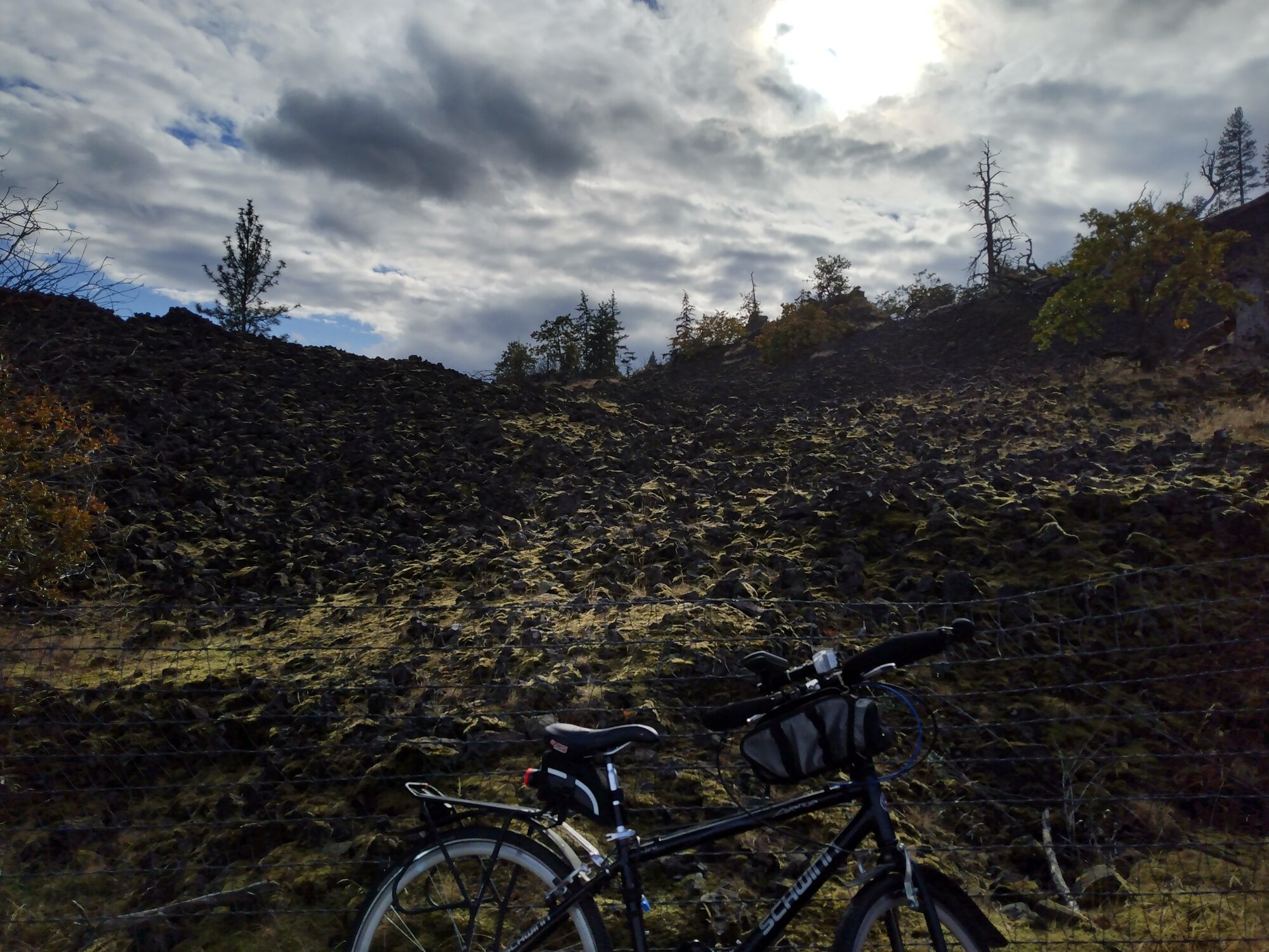 IMG_20221029_144014655_HDR.jpg