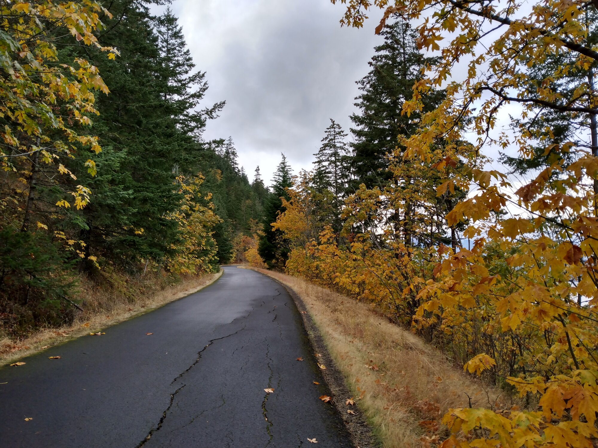 IMG_20221029_150706627_HDR.jpg