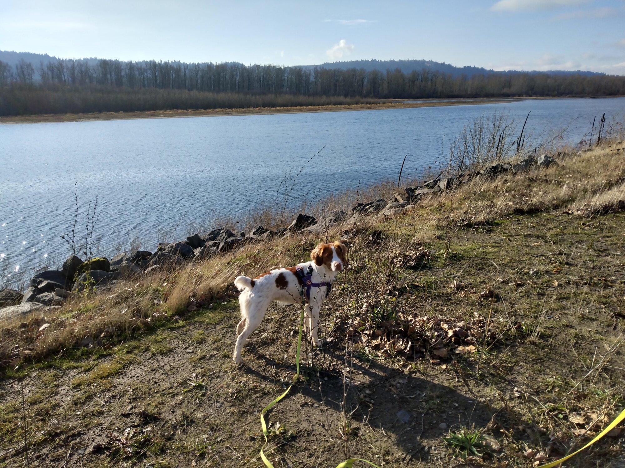 IMG_20221214_113527085_HDR.jpg