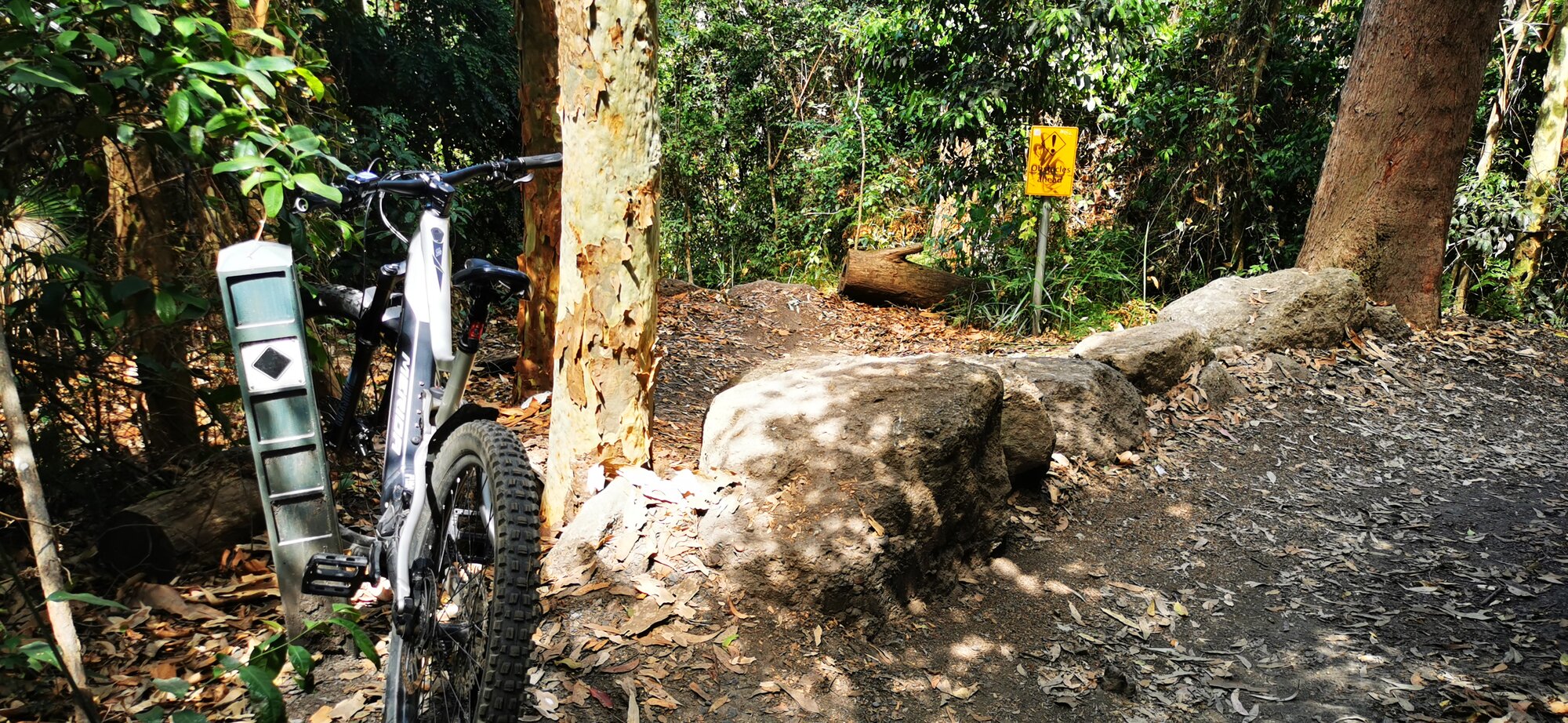 IMG_20221231_143159.jpg