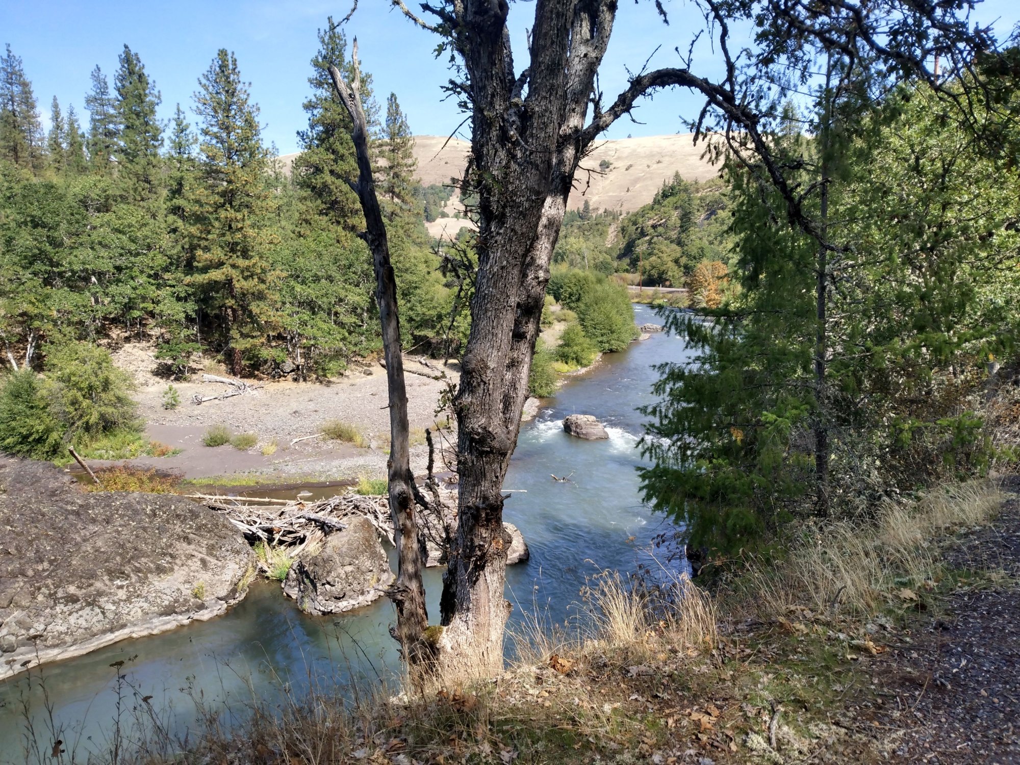 IMG_20260917_124627495_HDR.jpg