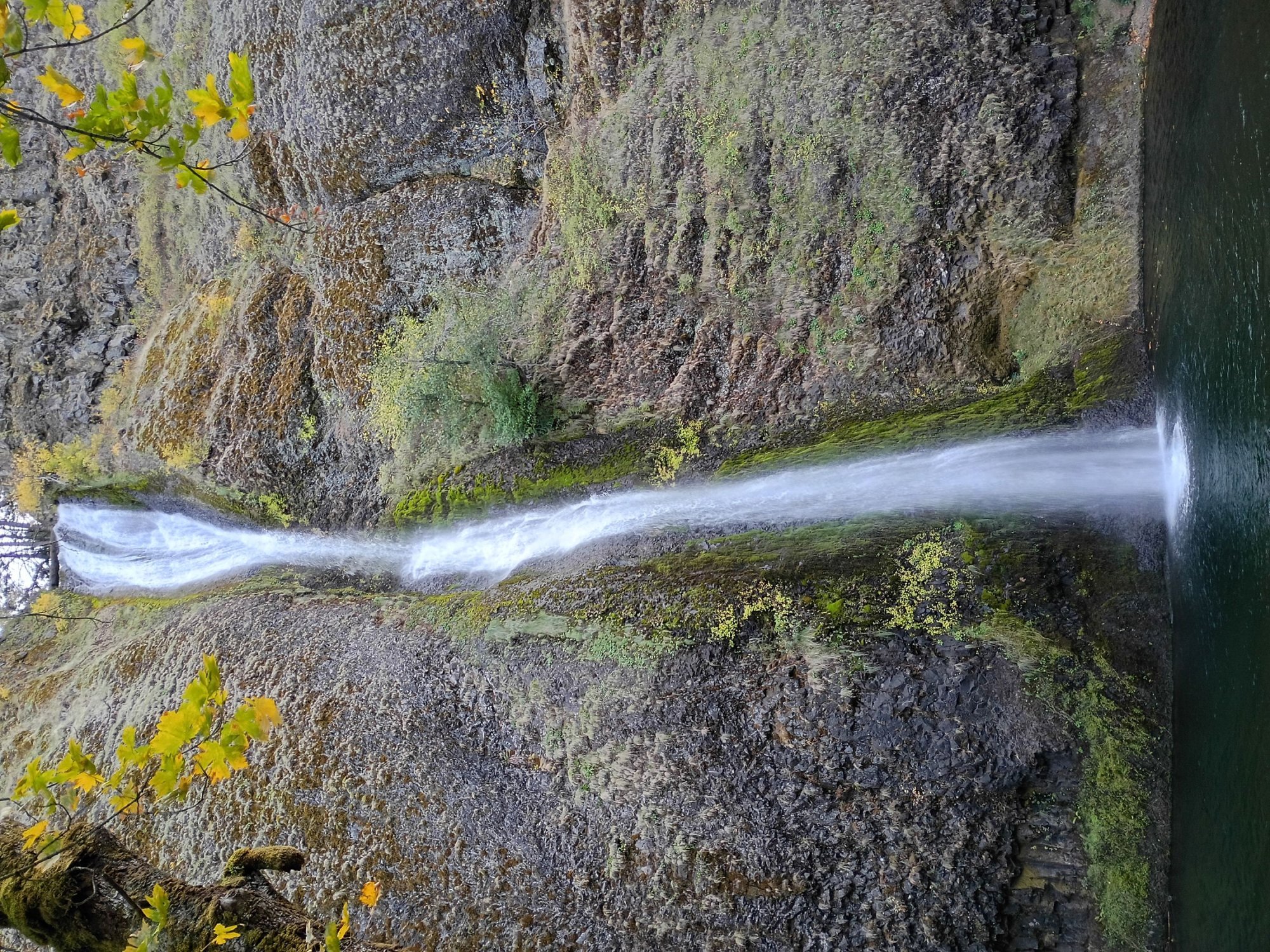 IMG_20261020_150742895_HDR.jpg