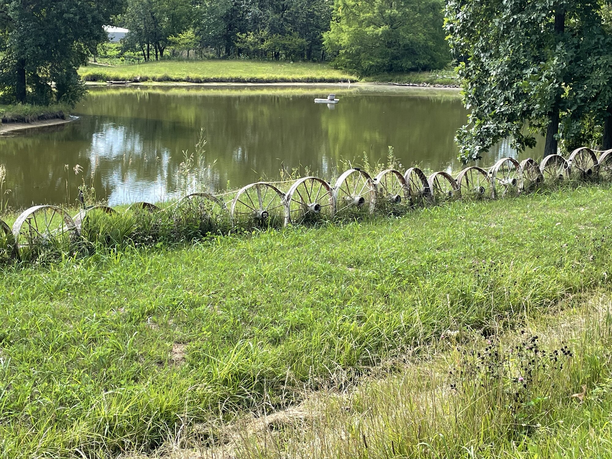 IMG_2181.jpeg