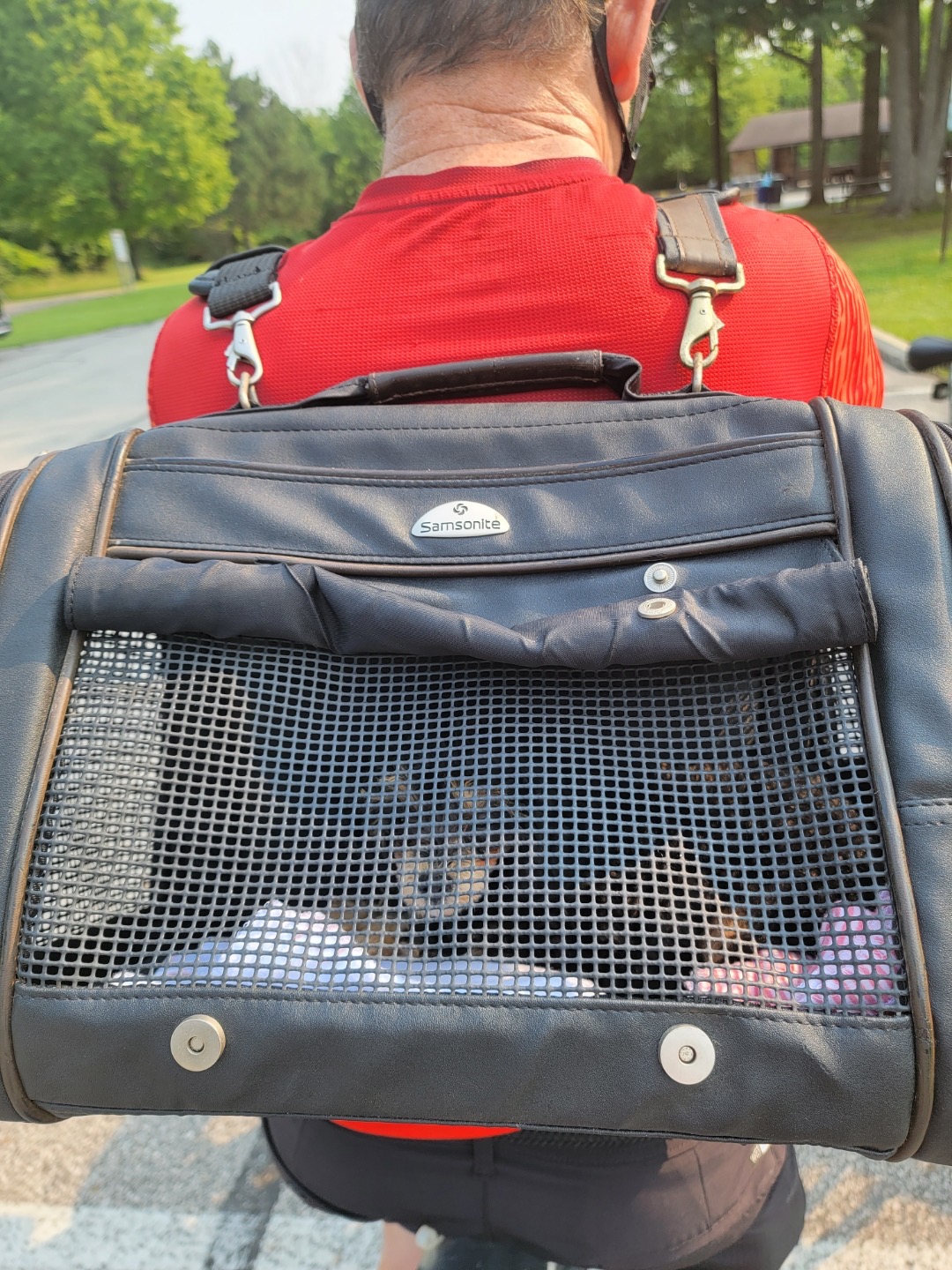 Samsonite cat carrier on sale