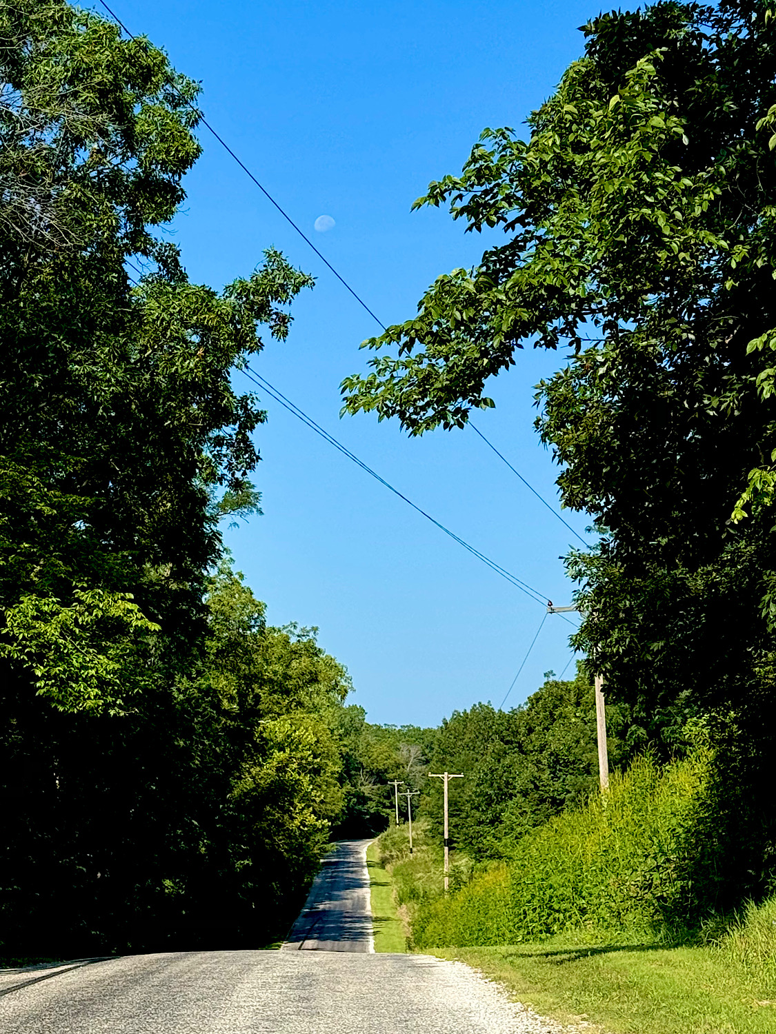 IMG_2354.jpeg