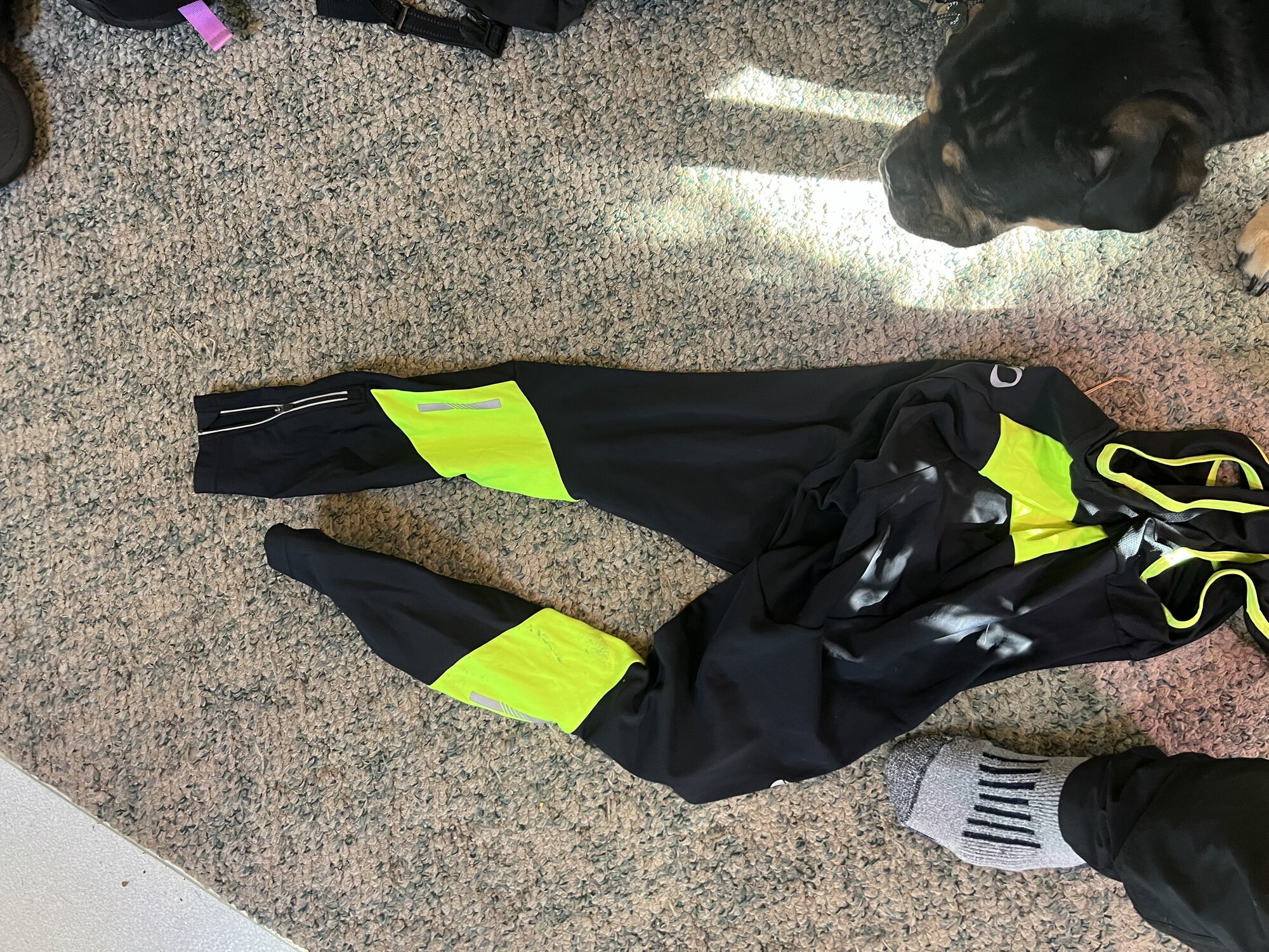 pearl izumi padded shorts