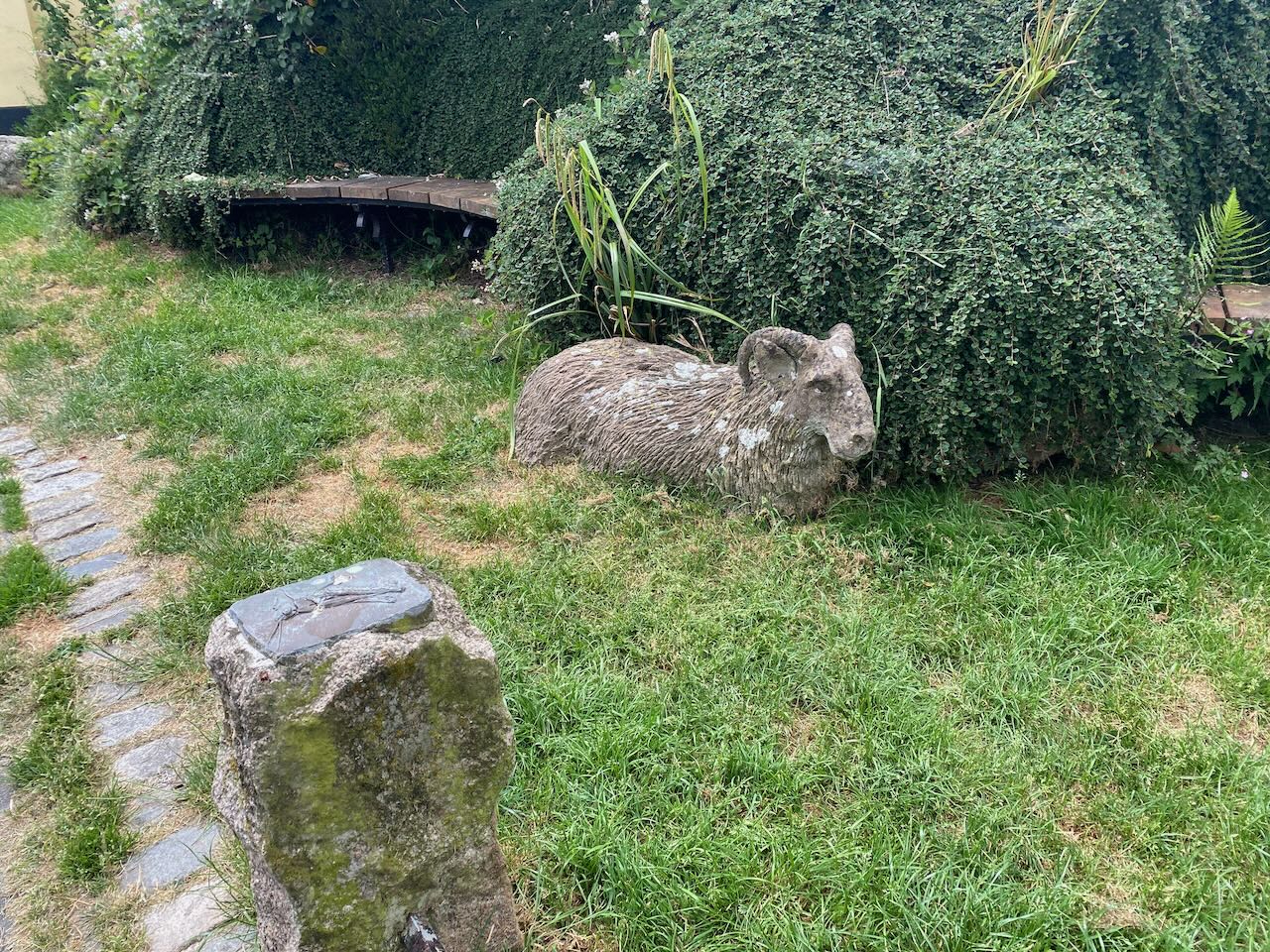 IMG_2729.jpeg