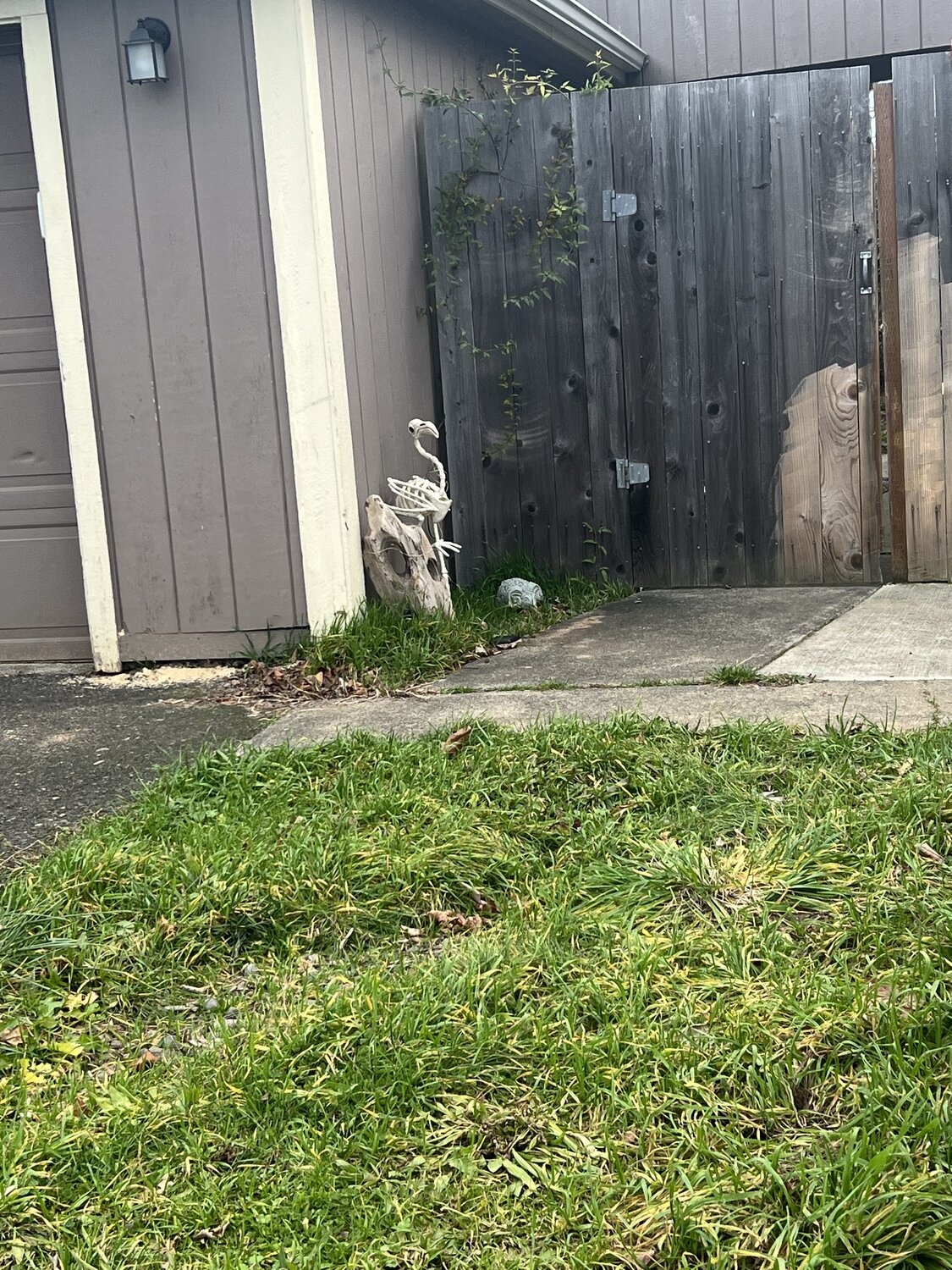 IMG_2973.jpeg