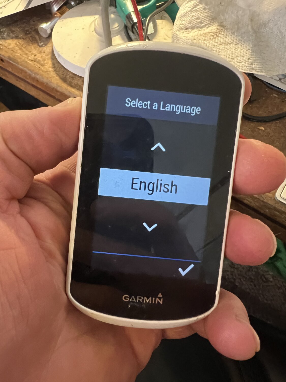 IMG_3164.jpeg IMG_3164.jpeg