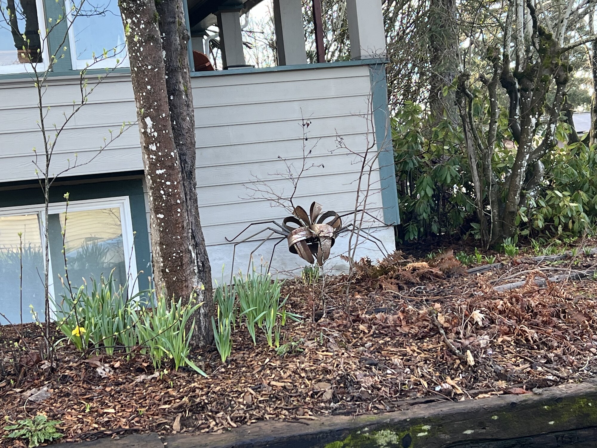 IMG_3218.jpeg