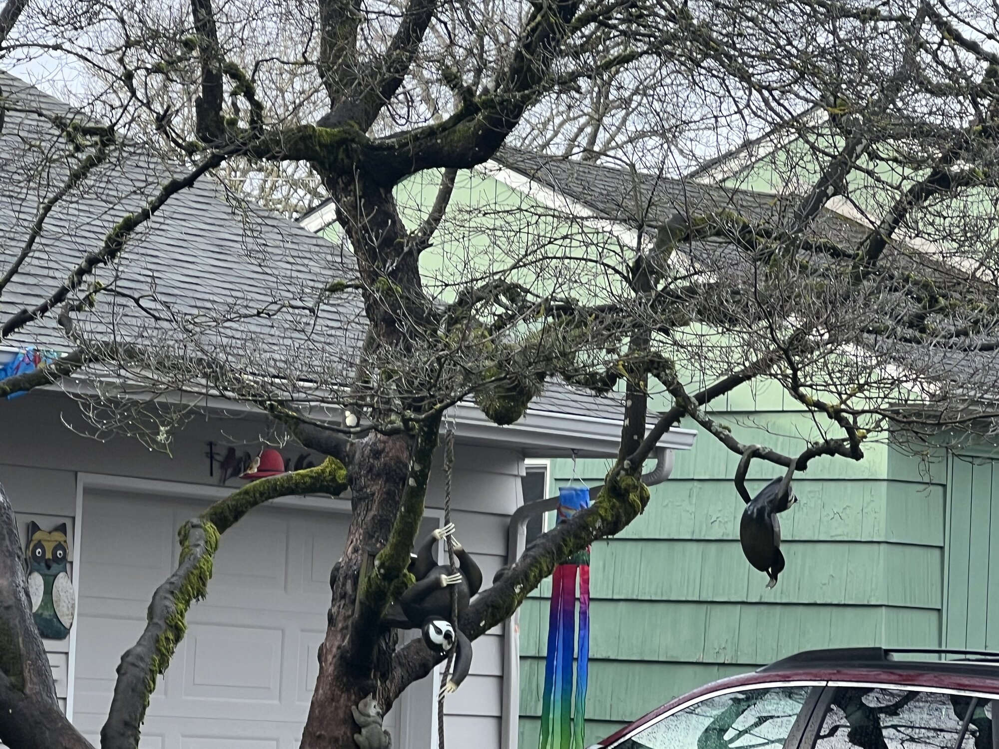 IMG_3271.jpeg