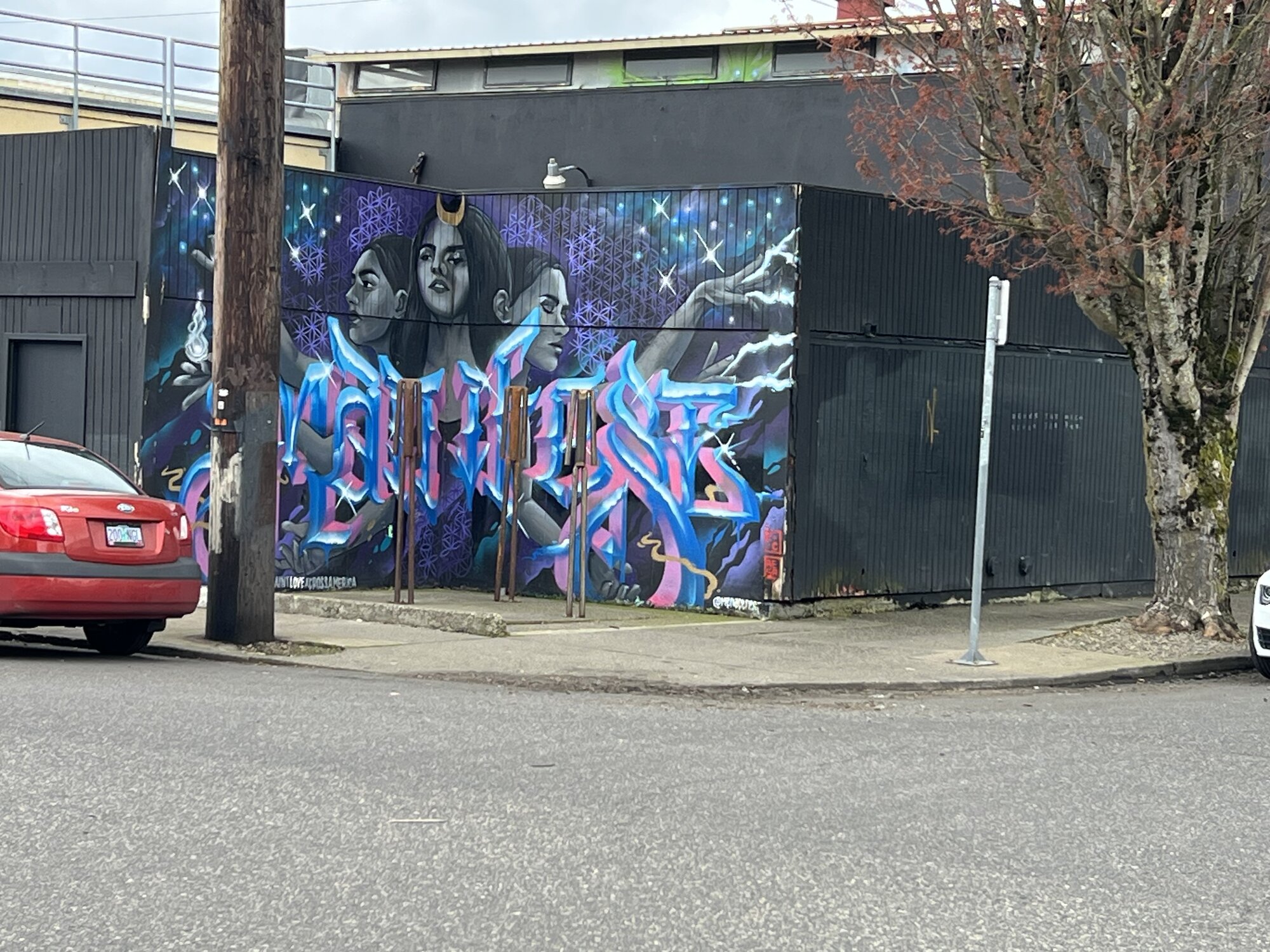IMG_3386.jpeg