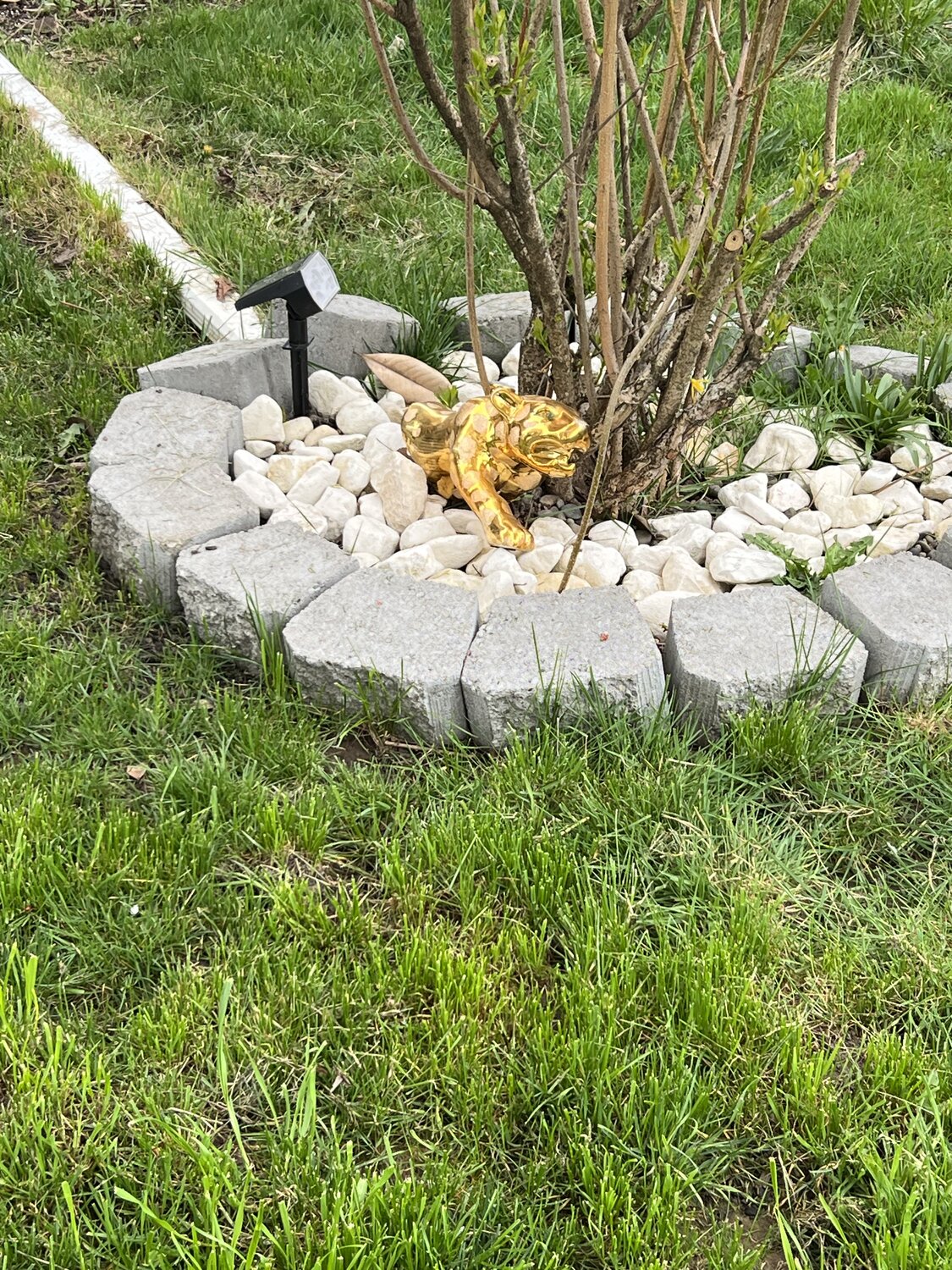 IMG_3408.jpeg