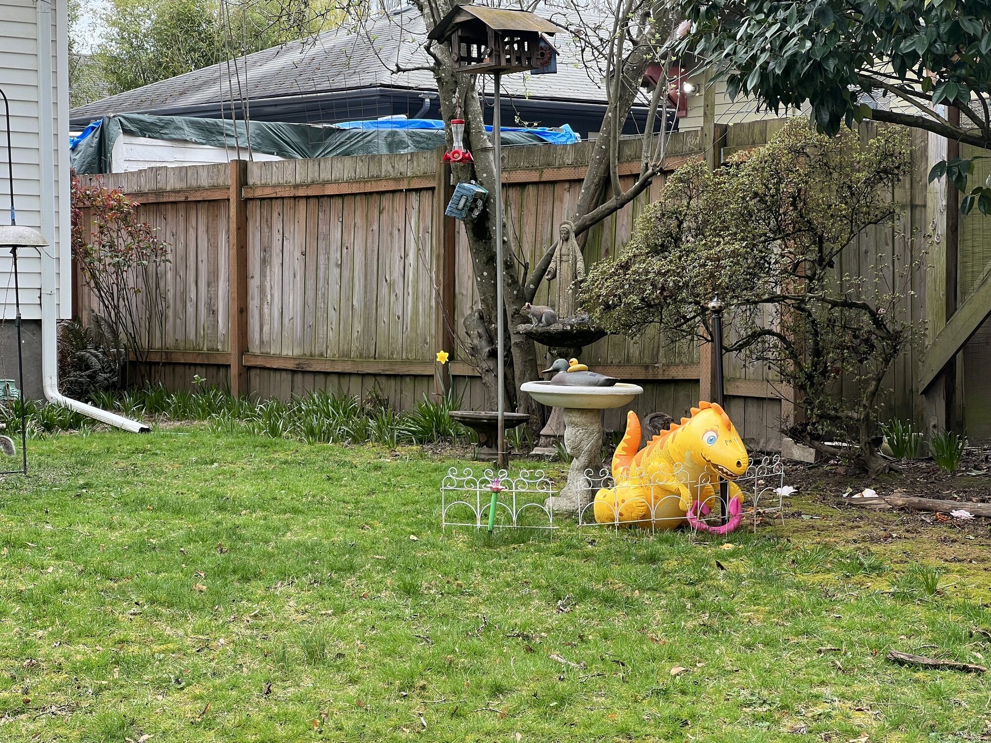 IMG_3411.jpeg