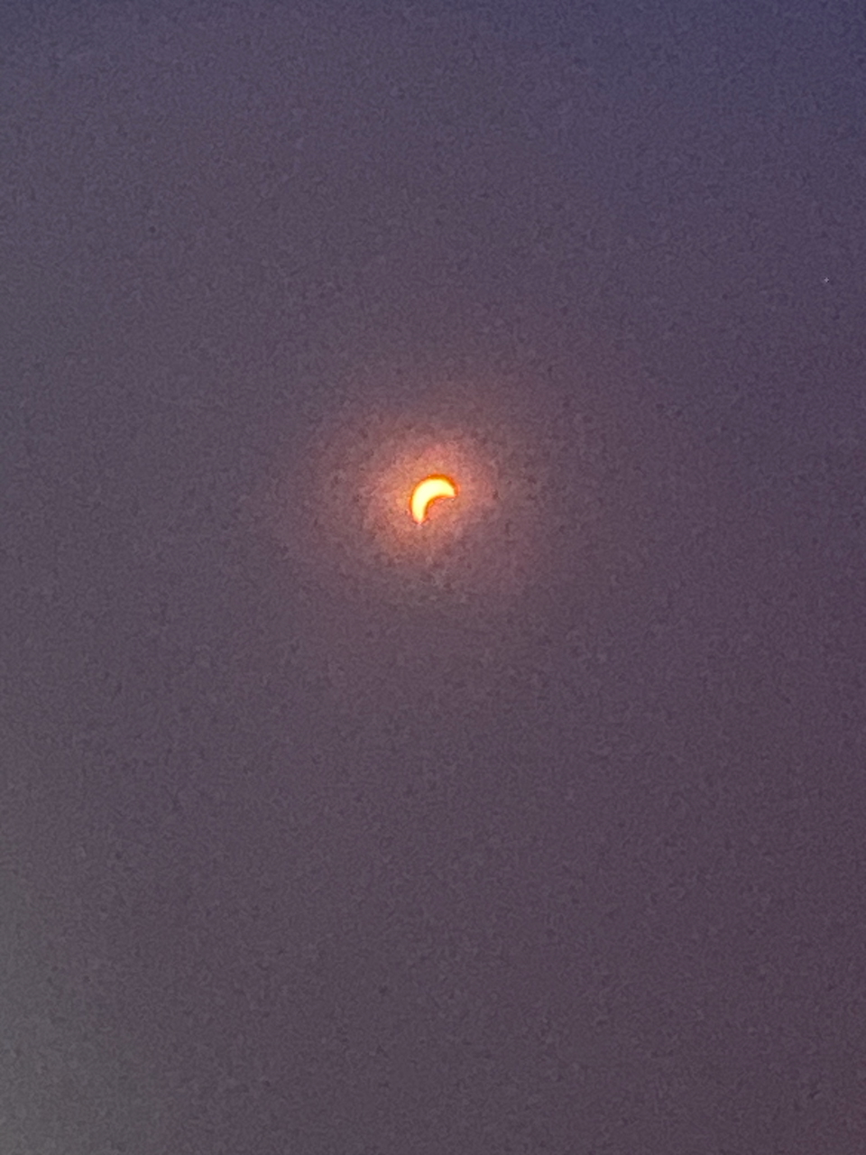 IMG_3503.jpeg