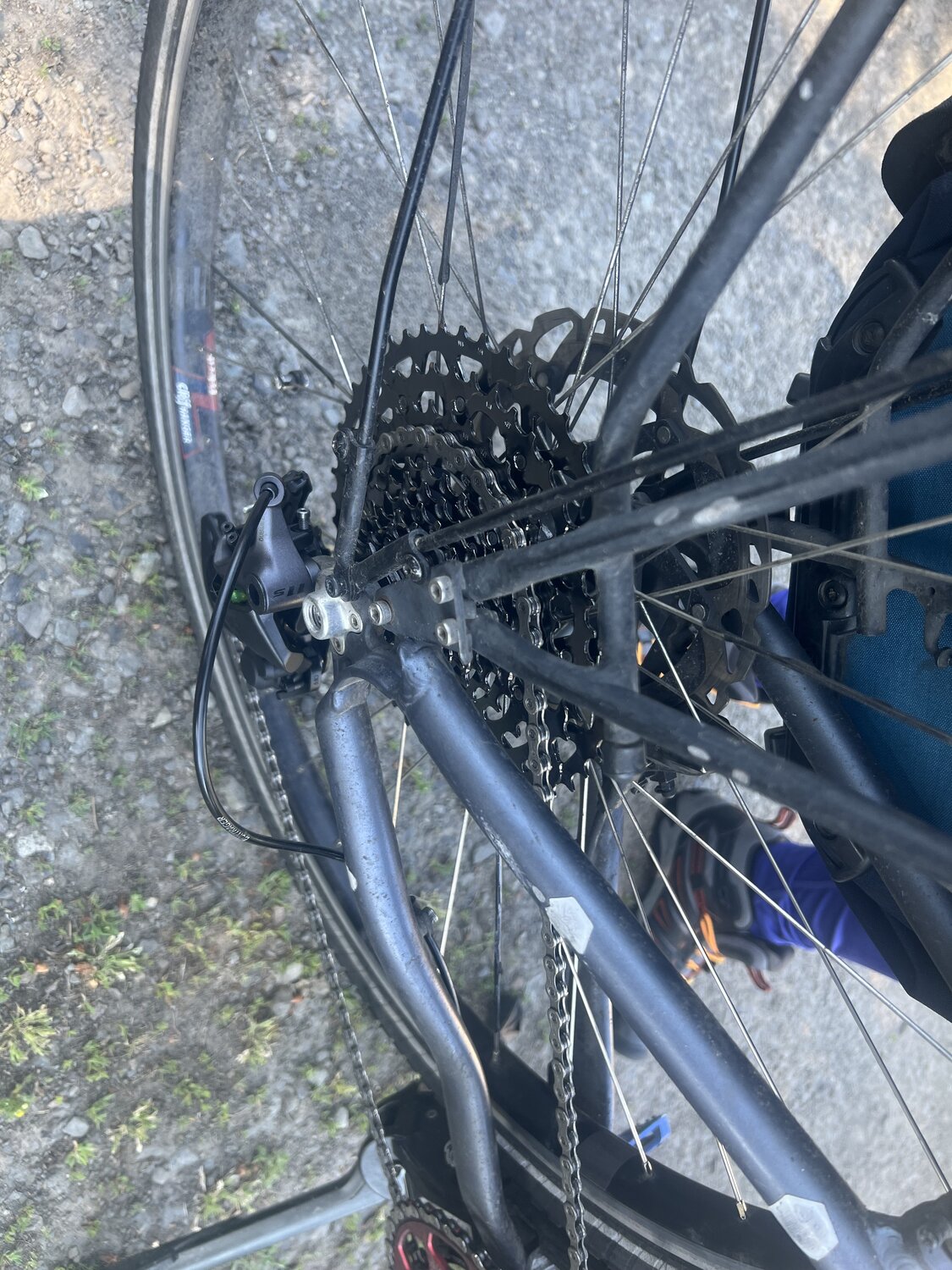 IMG_3740.jpeg IMG_3740.jpeg