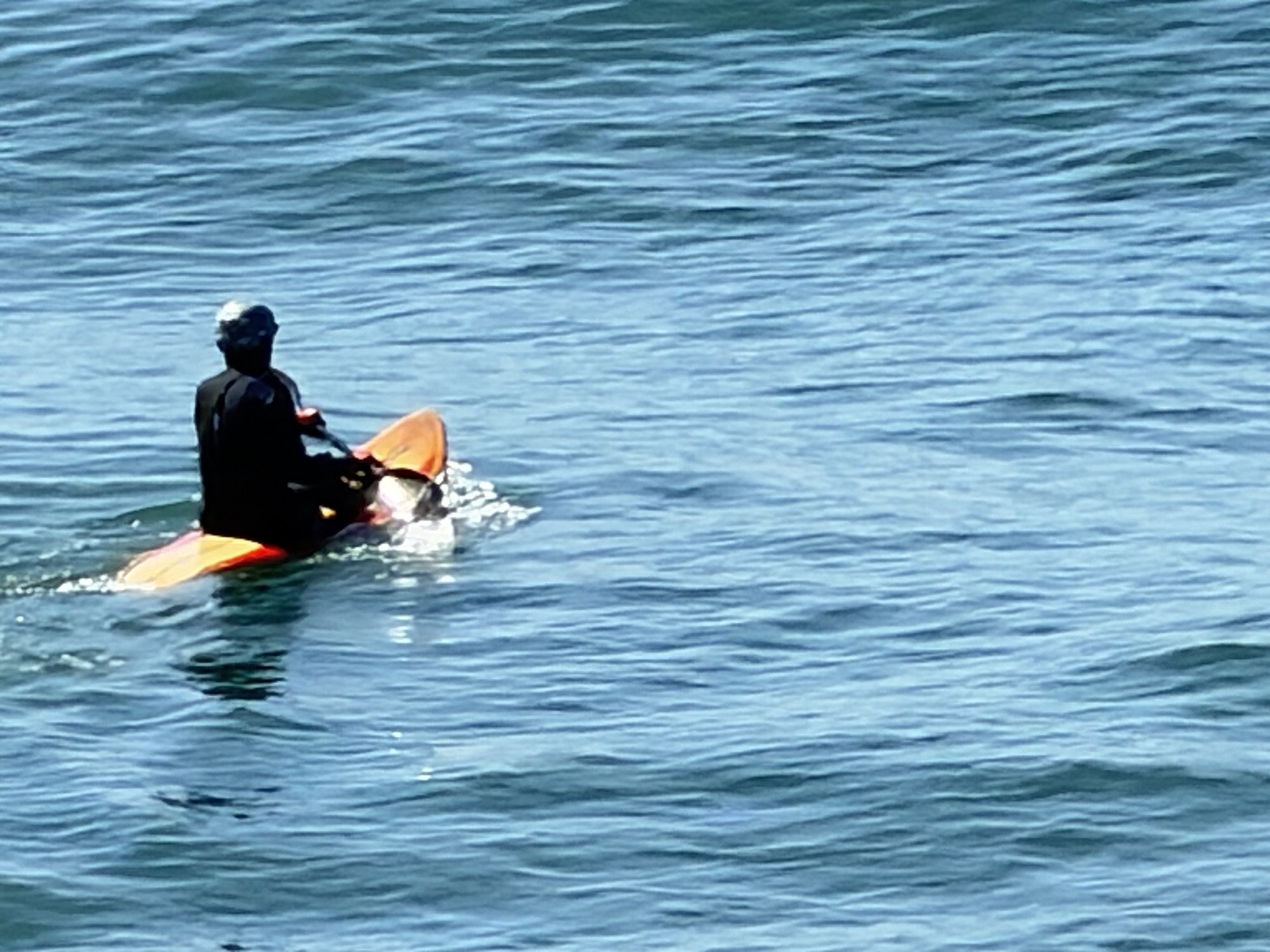 IMG_4292.jpeg