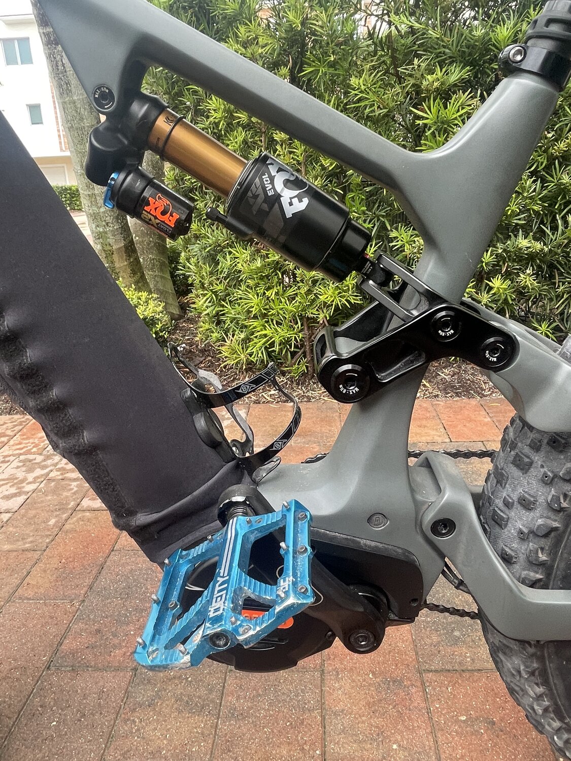 IMG_4317.JPG IMG_4317.JPG