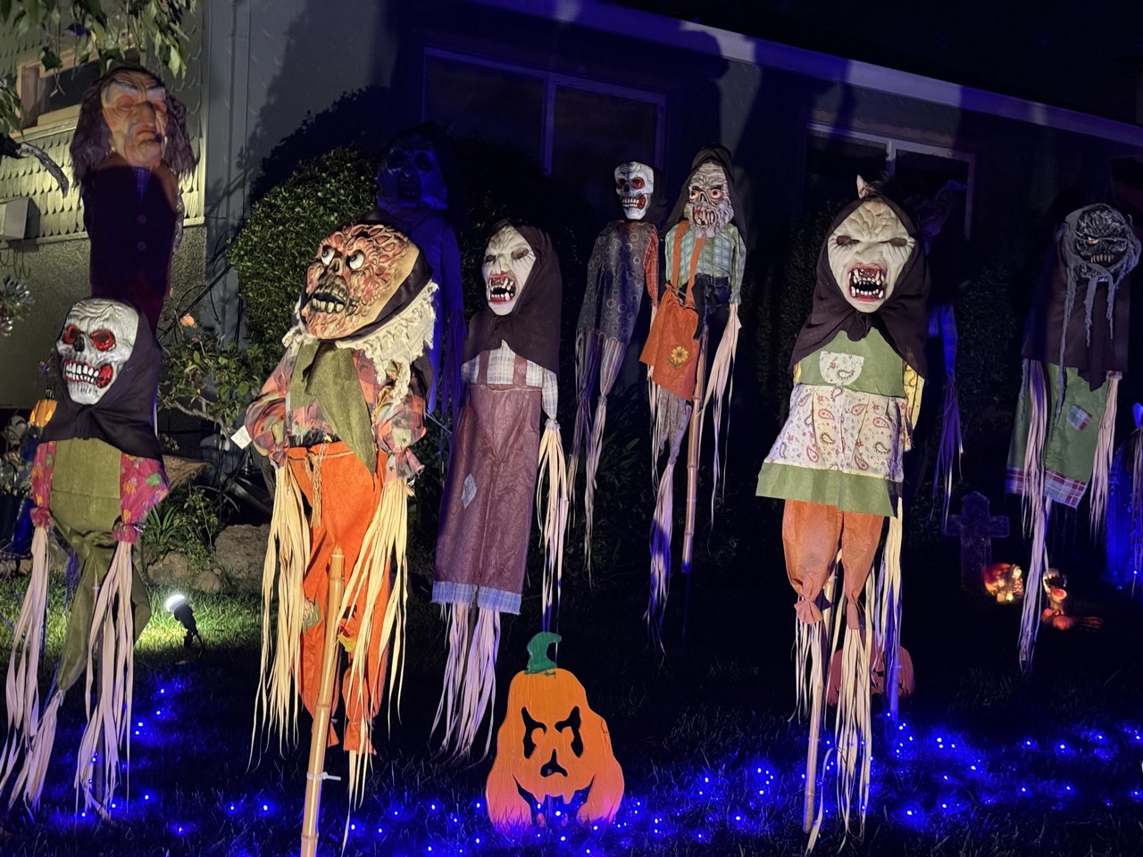 IMG_5048 2 Large.jpeg