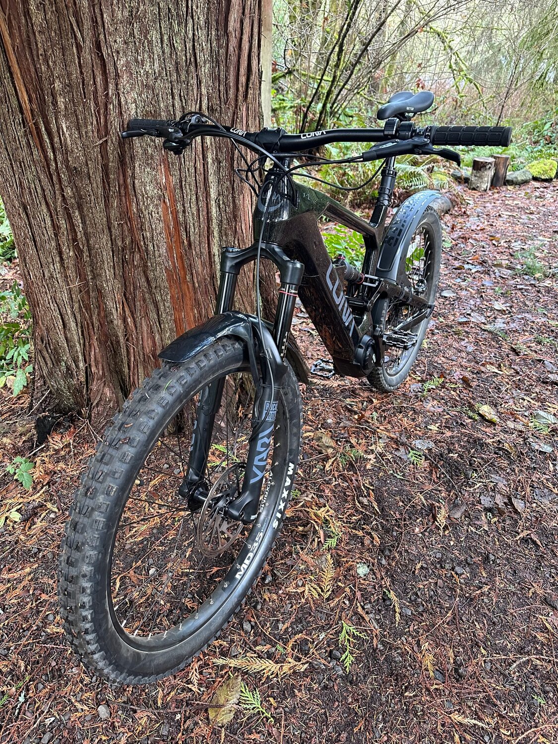 IMG_5071.jpg IMG_5071.jpg