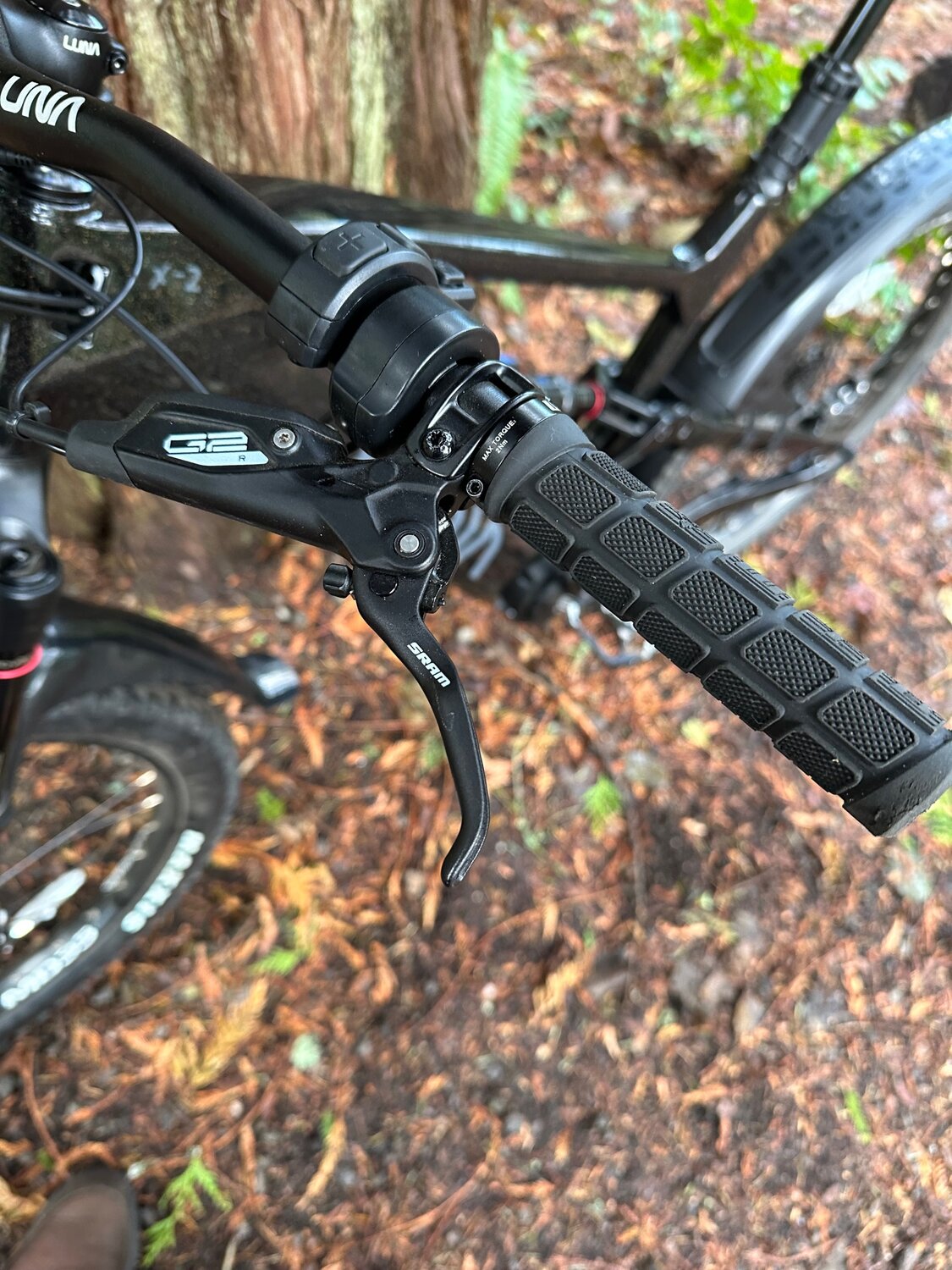 IMG_5072.jpg IMG_5072.jpg