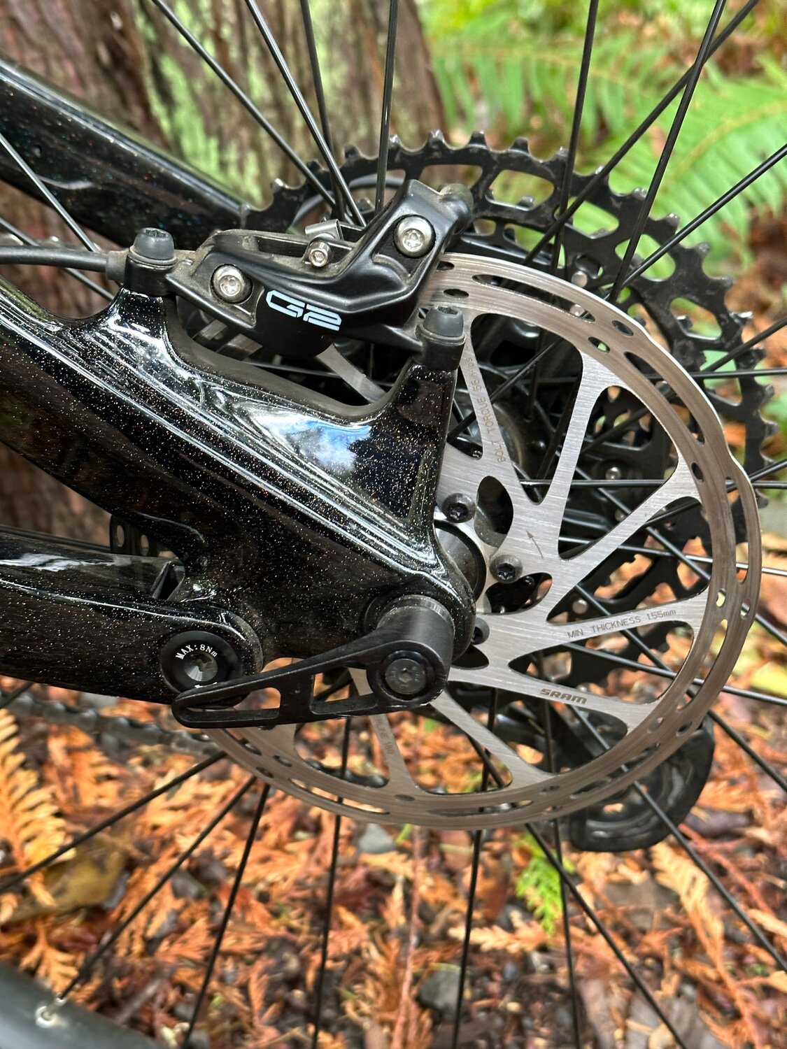 IMG_5074.jpg IMG_5074.jpg