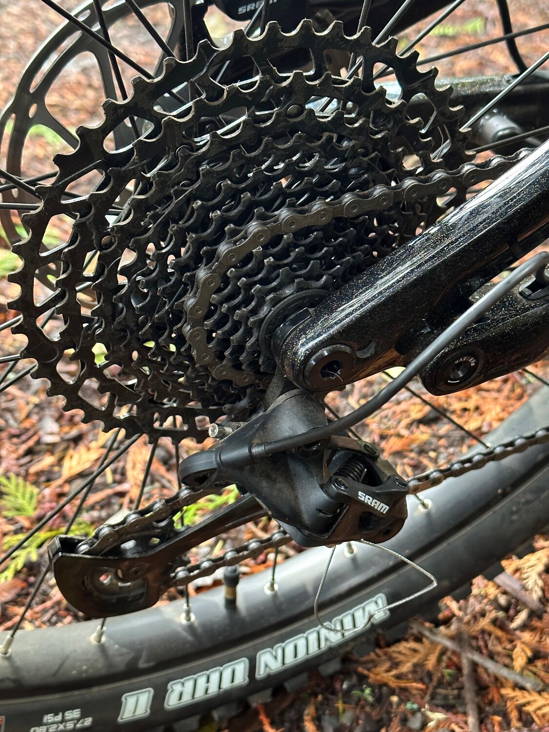 IMG_5075.jpg IMG_5075.jpg