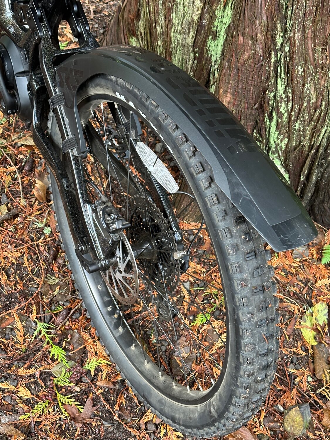 IMG_5077.jpg IMG_5077.jpg