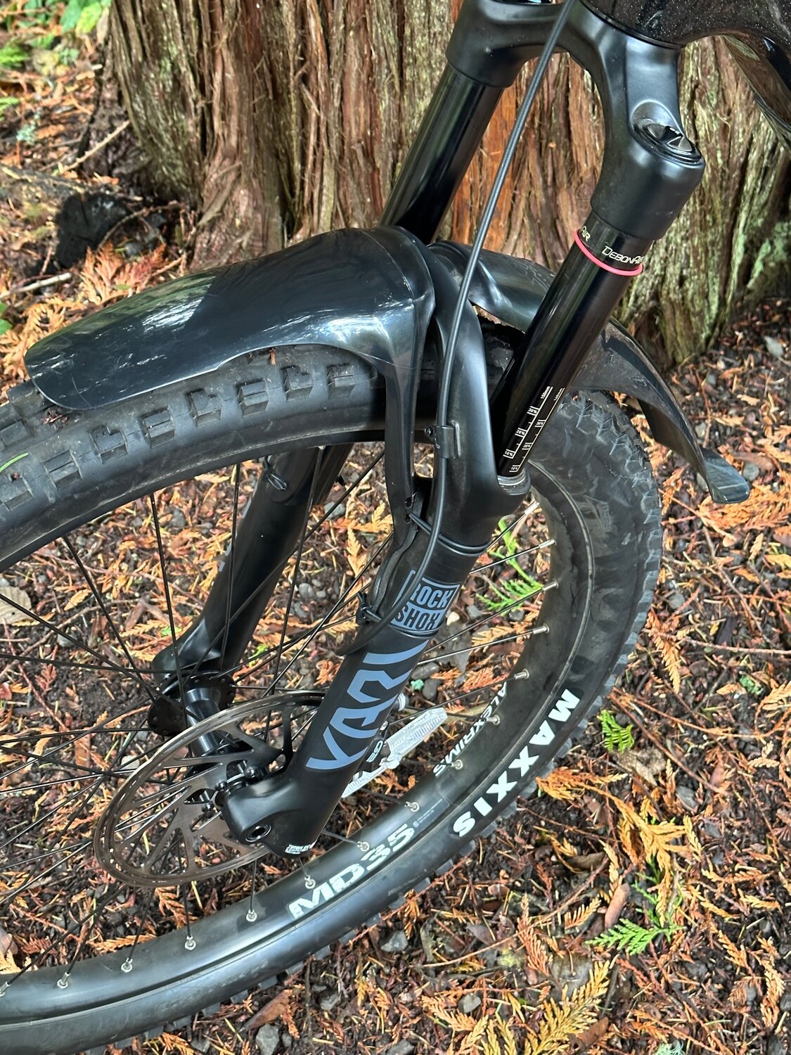 IMG_5078.jpg IMG_5078.jpg